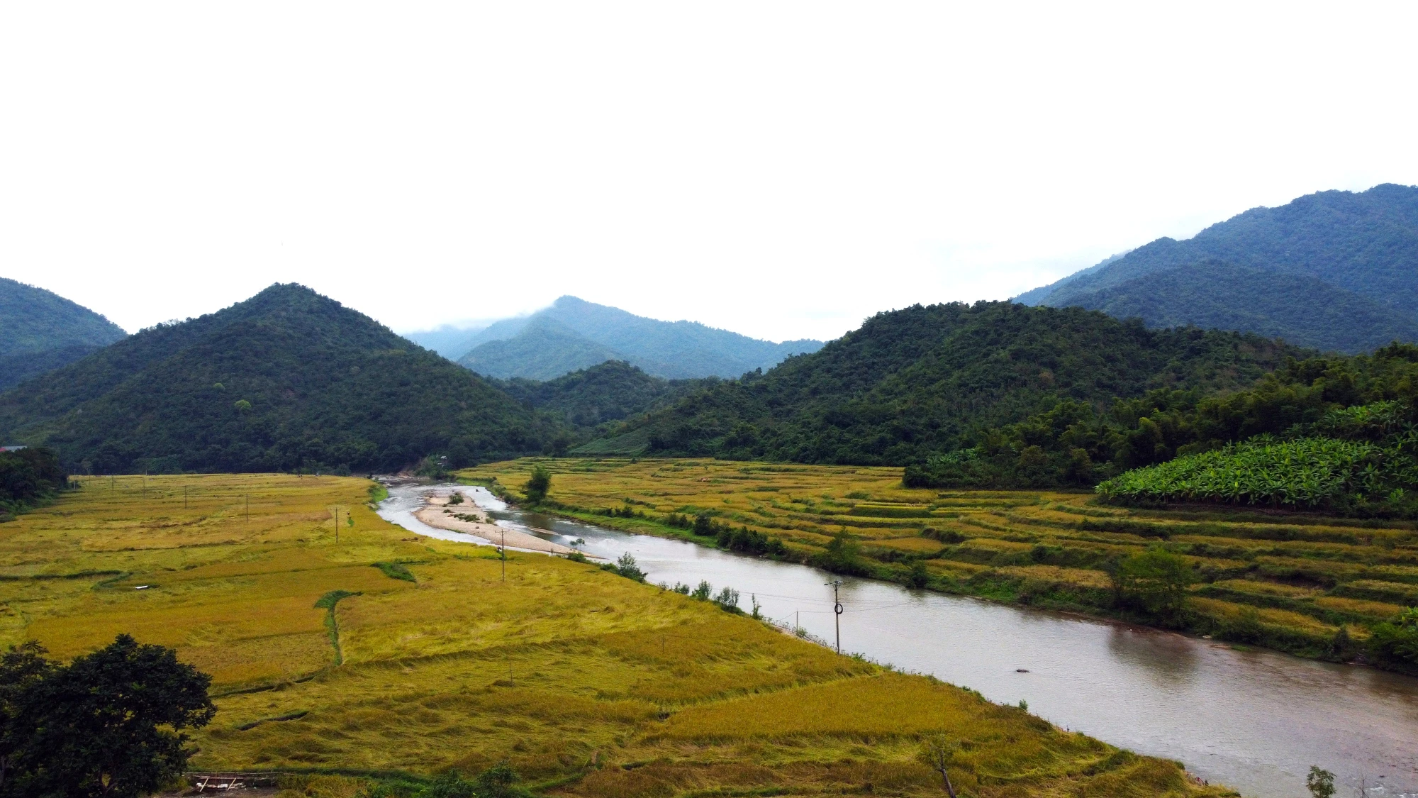 Ngắm cảnh đẹp mùa vàng đẹp như thiên đường ở vùng biên xứ Thanh -8.JPG