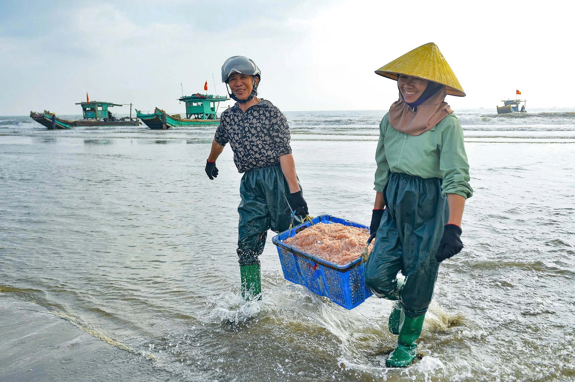 Ngư dân Thanh Hóa trúng đậm lộc biển đầu năm mới 2026