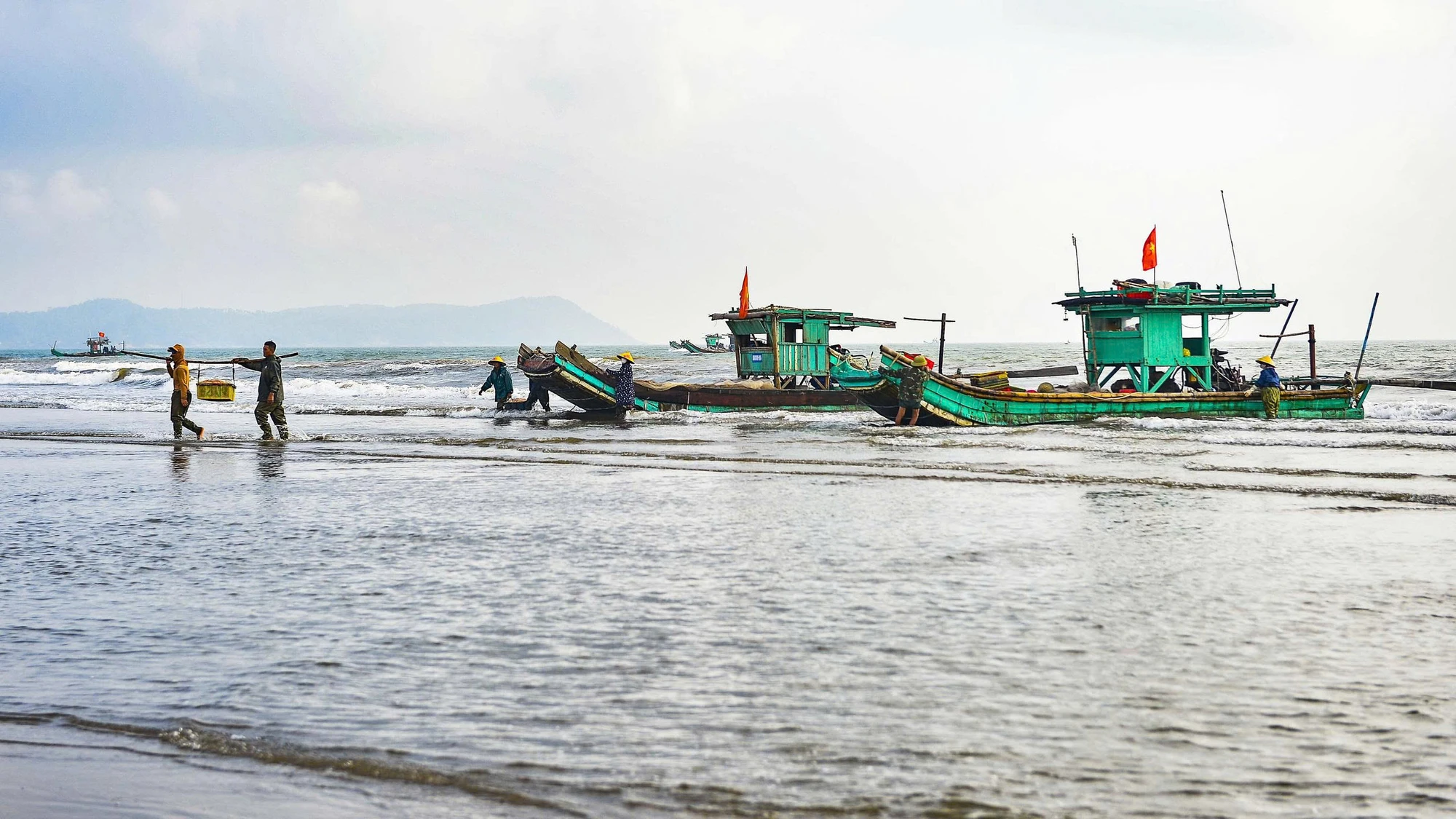 Ngư dân Thanh Hóa trúng đậm “lộc biển” những ngày đầu năm -9.jpg