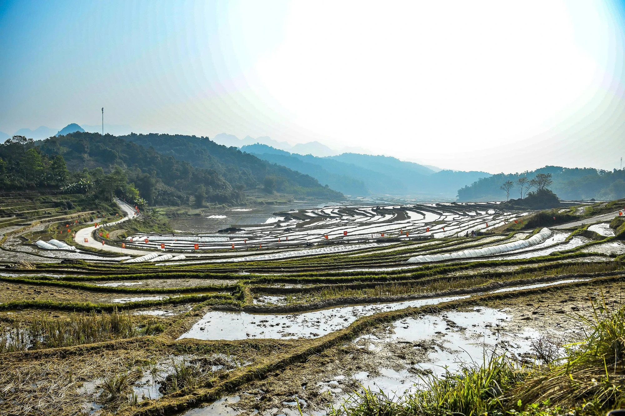 Pù Luôn.jpg