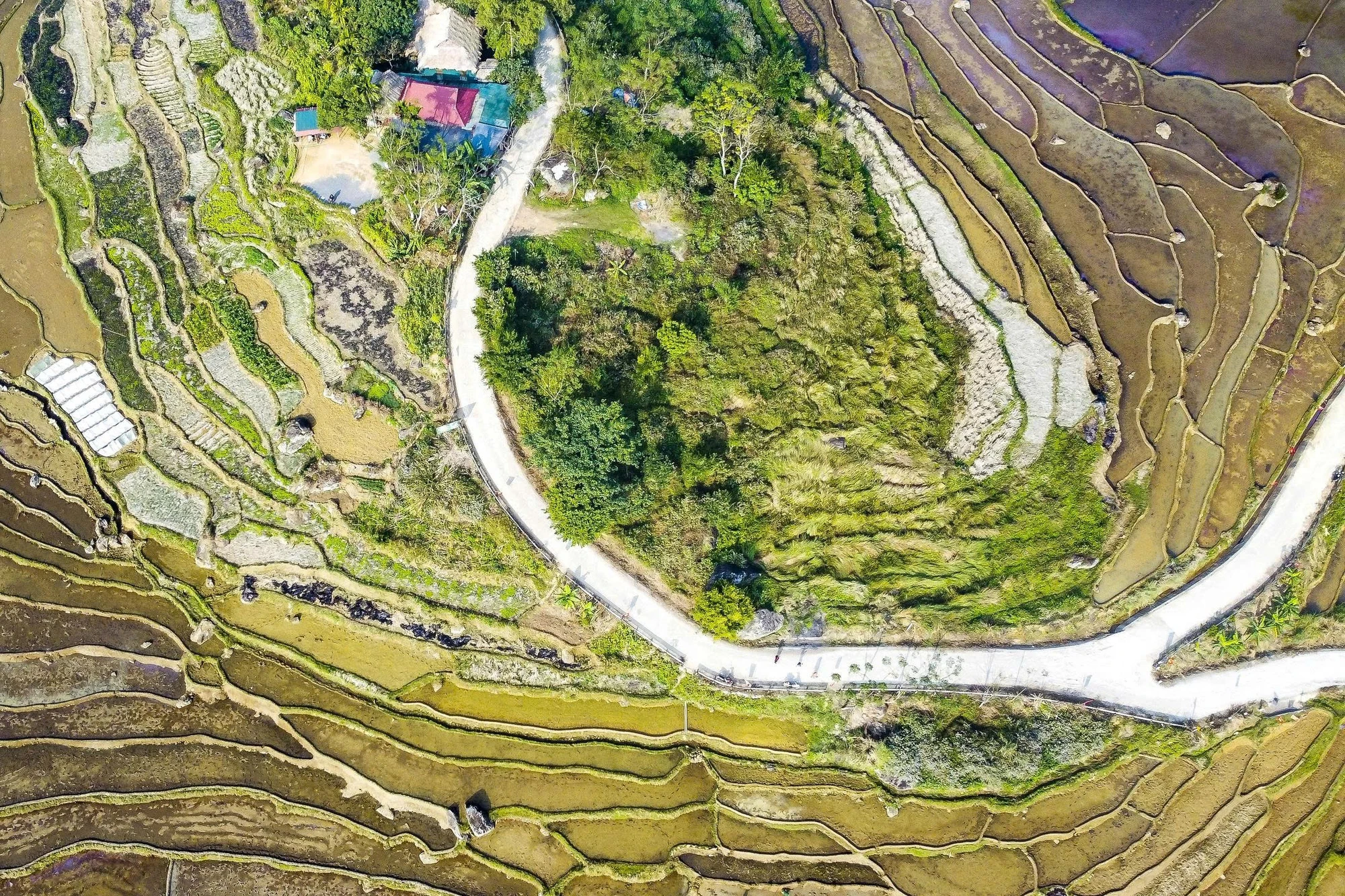 Toàn cảnh “viên ngọc xanh” xứ Thanh bình yên hoang sơ mùa nước đổ -19.jpg