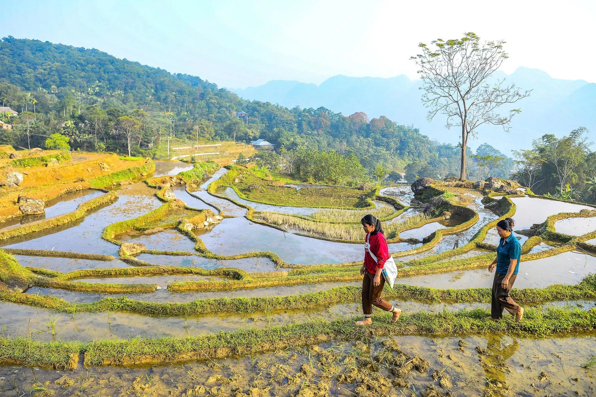 Toàn cảnh “viên ngọc xanh” xứ Thanh bình yên hoang sơ mùa nước đổ -2.jpg