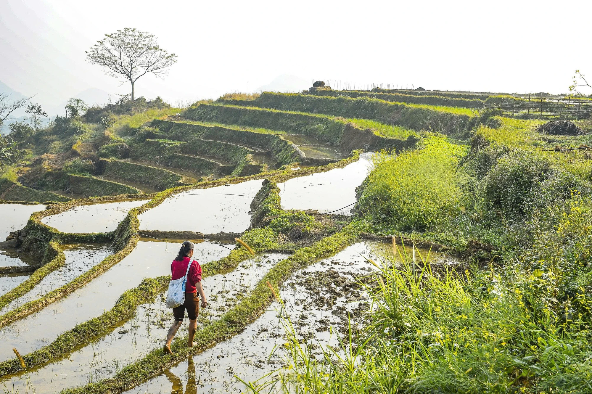 Toàn cảnh “viên ngọc xanh” xứ Thanh bình yên hoang sơ mùa nước đổ -3.jpg