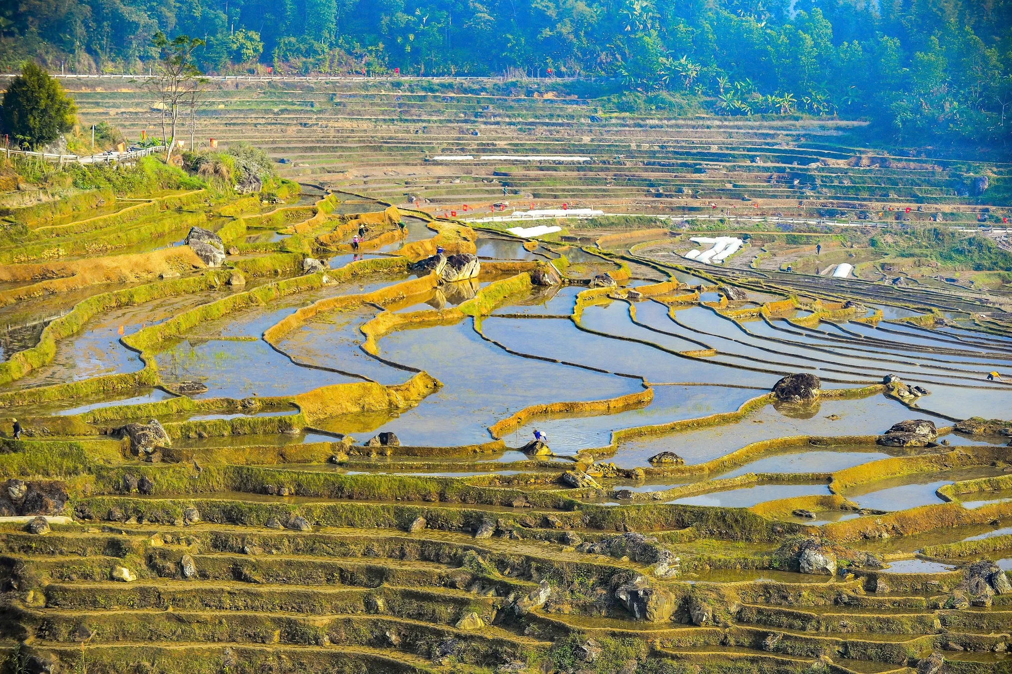 Toàn cảnh “viên ngọc xanh” xứ Thanh bình yên hoang sơ mùa nước đổ -5.jpg