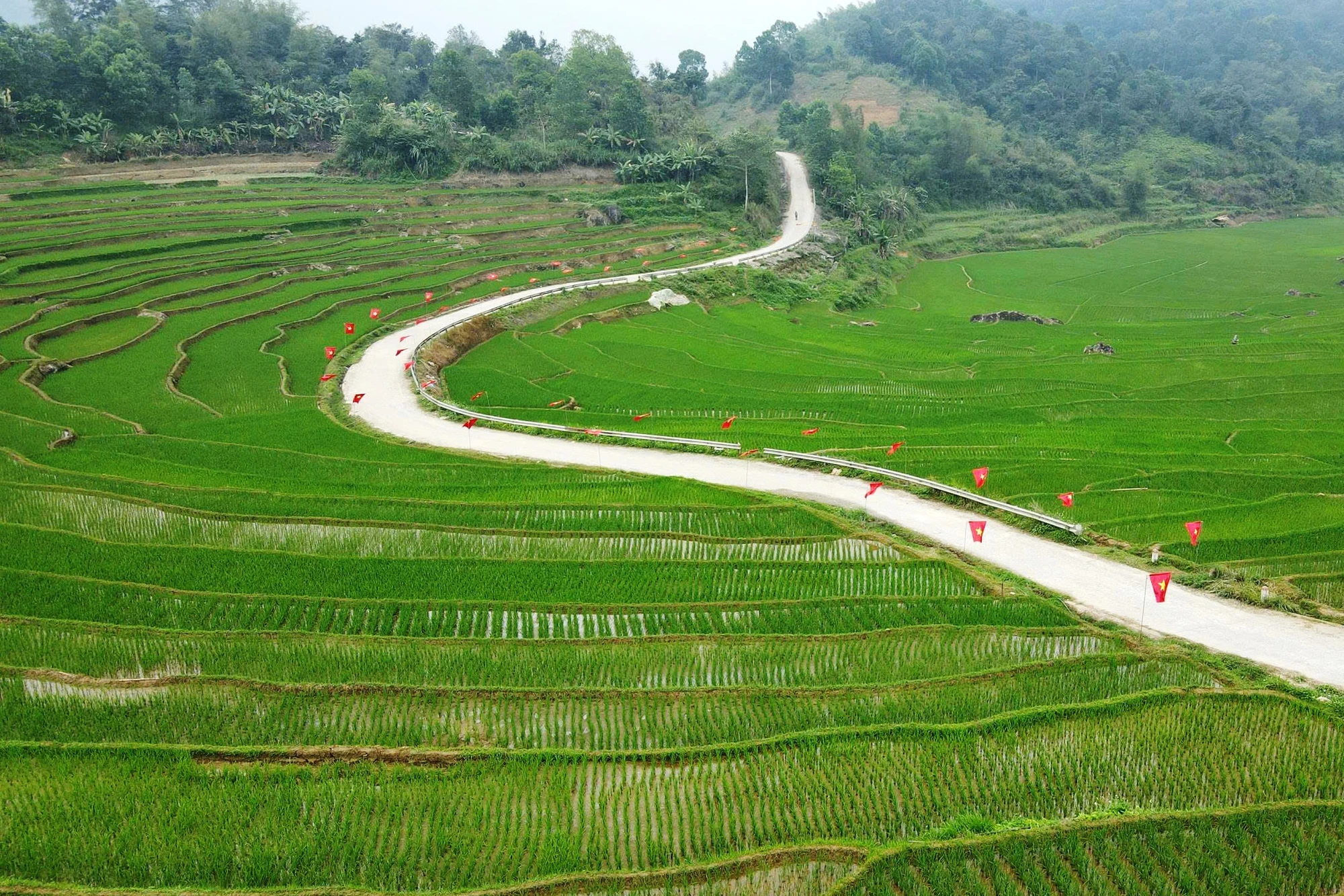 “Cung đường chữ S” nổi tiếng ở Thanh Hóa rợp cờ hoa trước ngày bầu cử-3.jpg