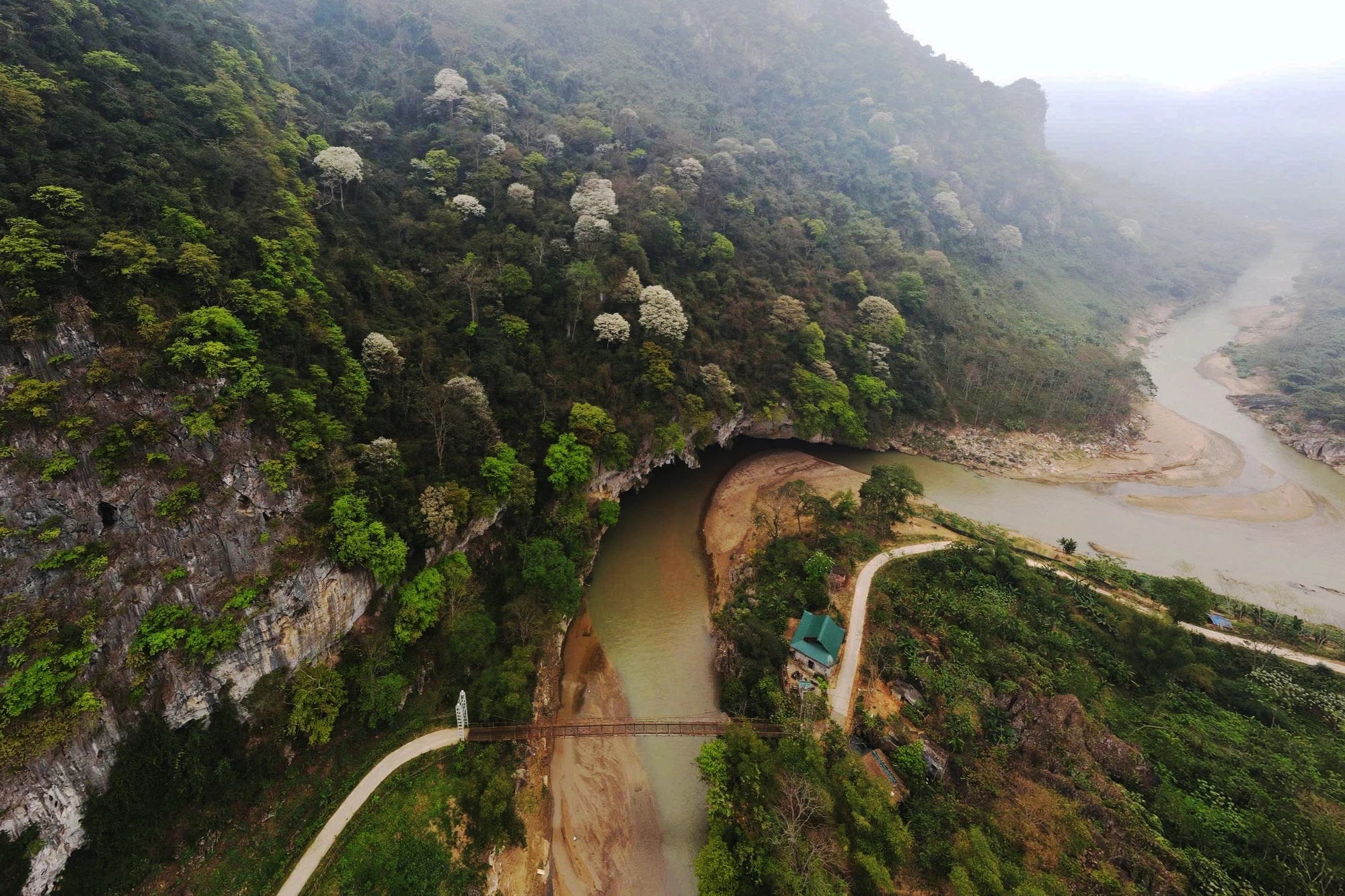 Hoa thàn mát nở trắng tinh khôi giữa núi rừng miền Tây xứ Thanh-12.jpg