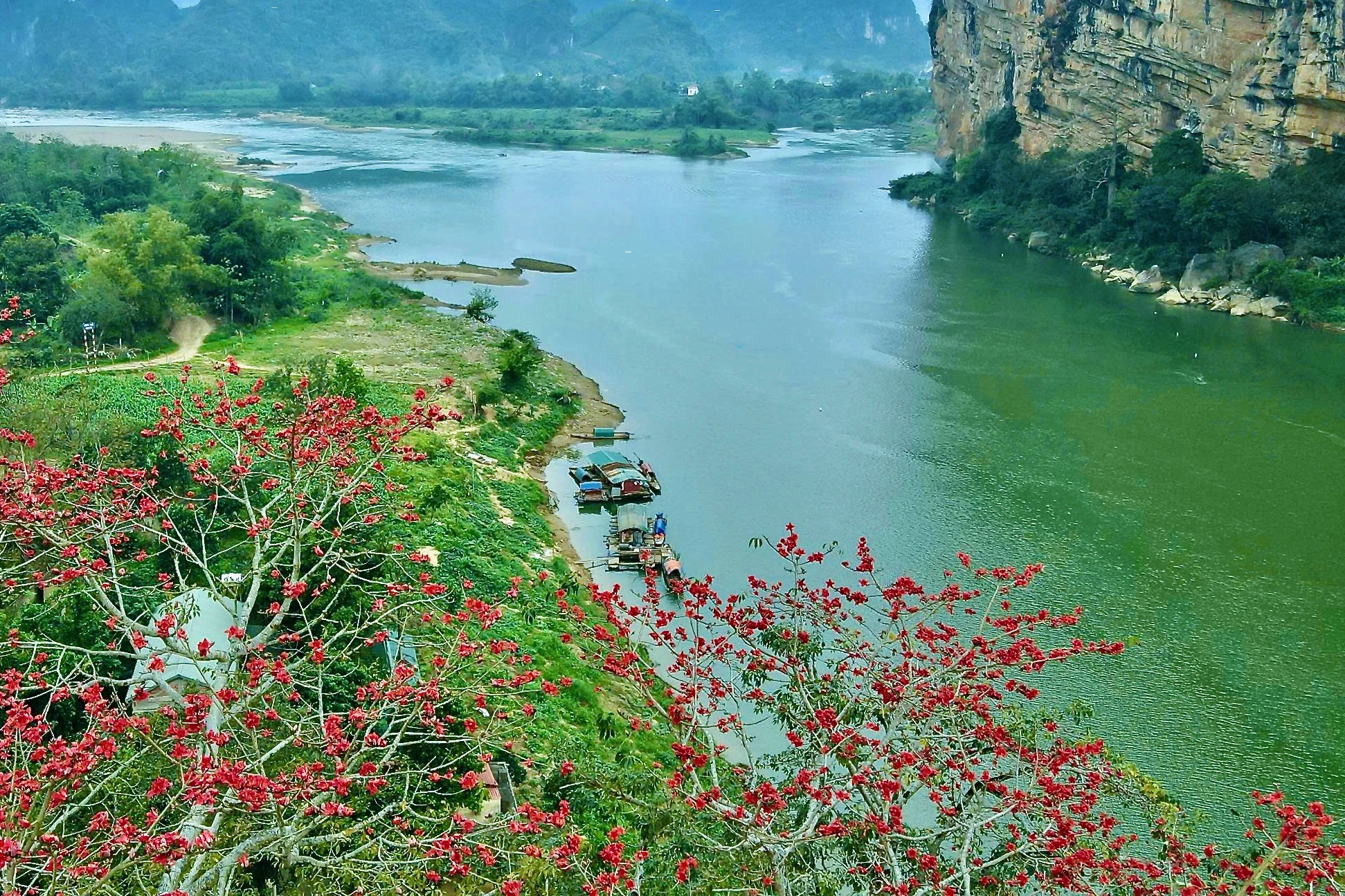Chiêm ngưỡng hoa gạo đỏ rực bên sông Mã ở Thanh Hóa-4.jpeg