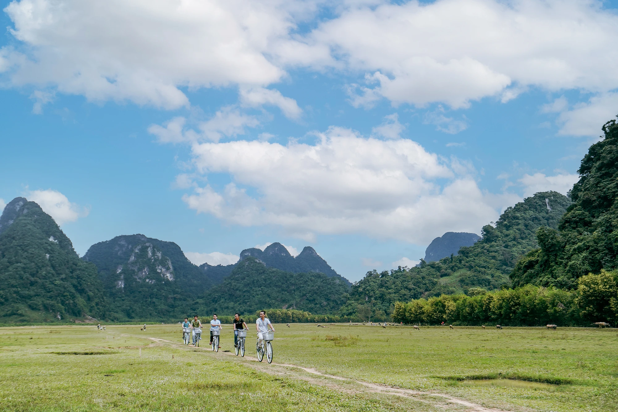 ve-dep-cua-vung-ron-lu-duoc-the-gioi-vinh-danh (12).jpg