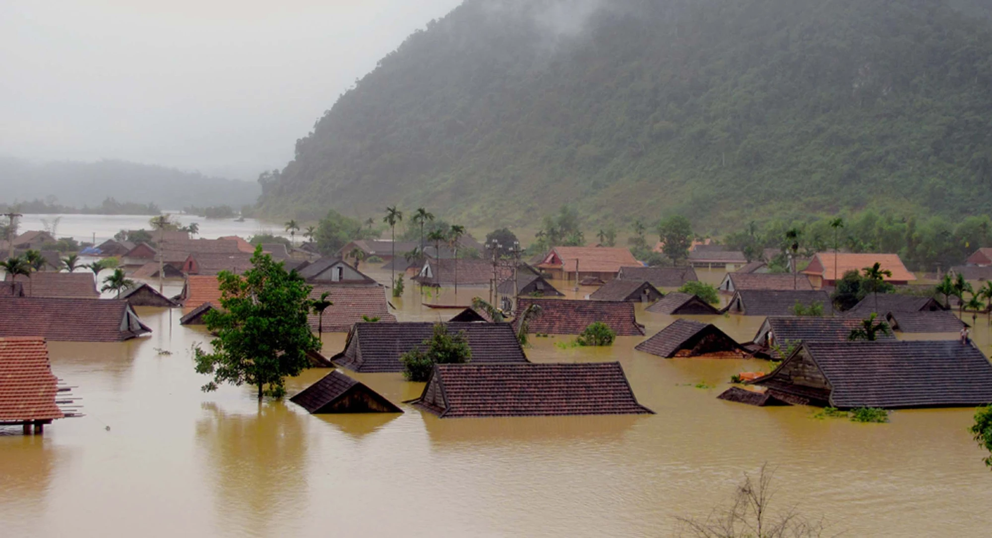 ve-dep-cua-vung-ron-lu-duoc-the-gioi-vinh-danh (15).jpg