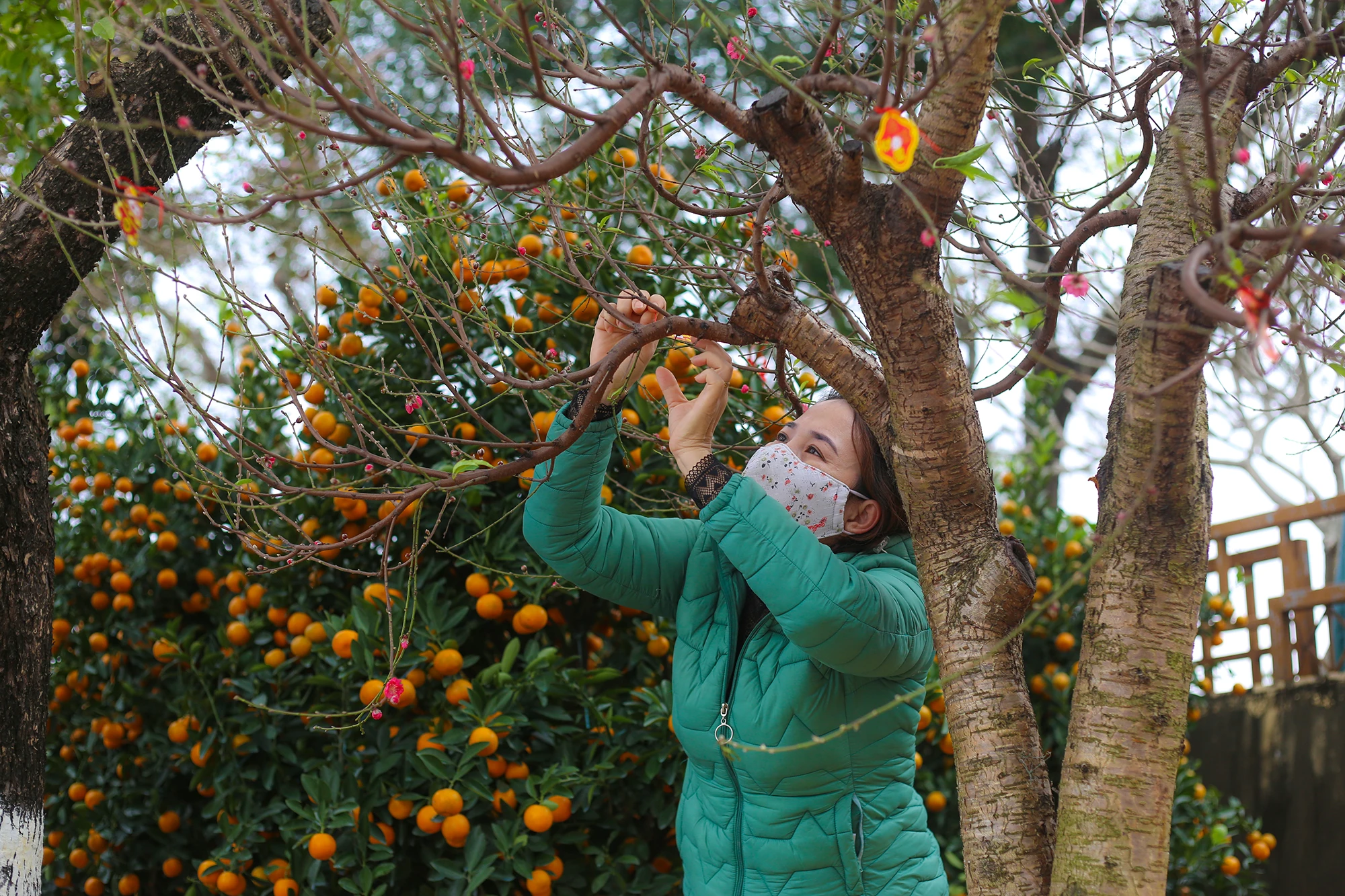 Dao-quat-xuong-pho-ron-rang-khong-khi-tet-o-quang-binh (8).JPG