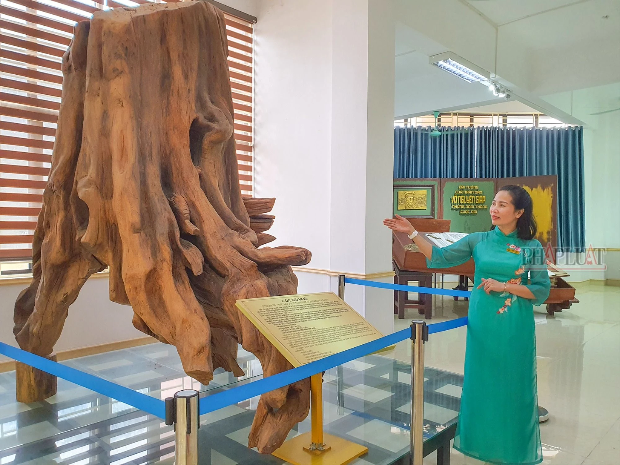 goc-go-sua-tai-quang-binh.jpg