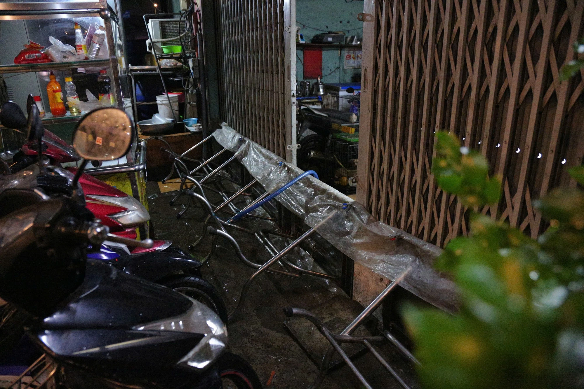 trieucuong 2.jpg