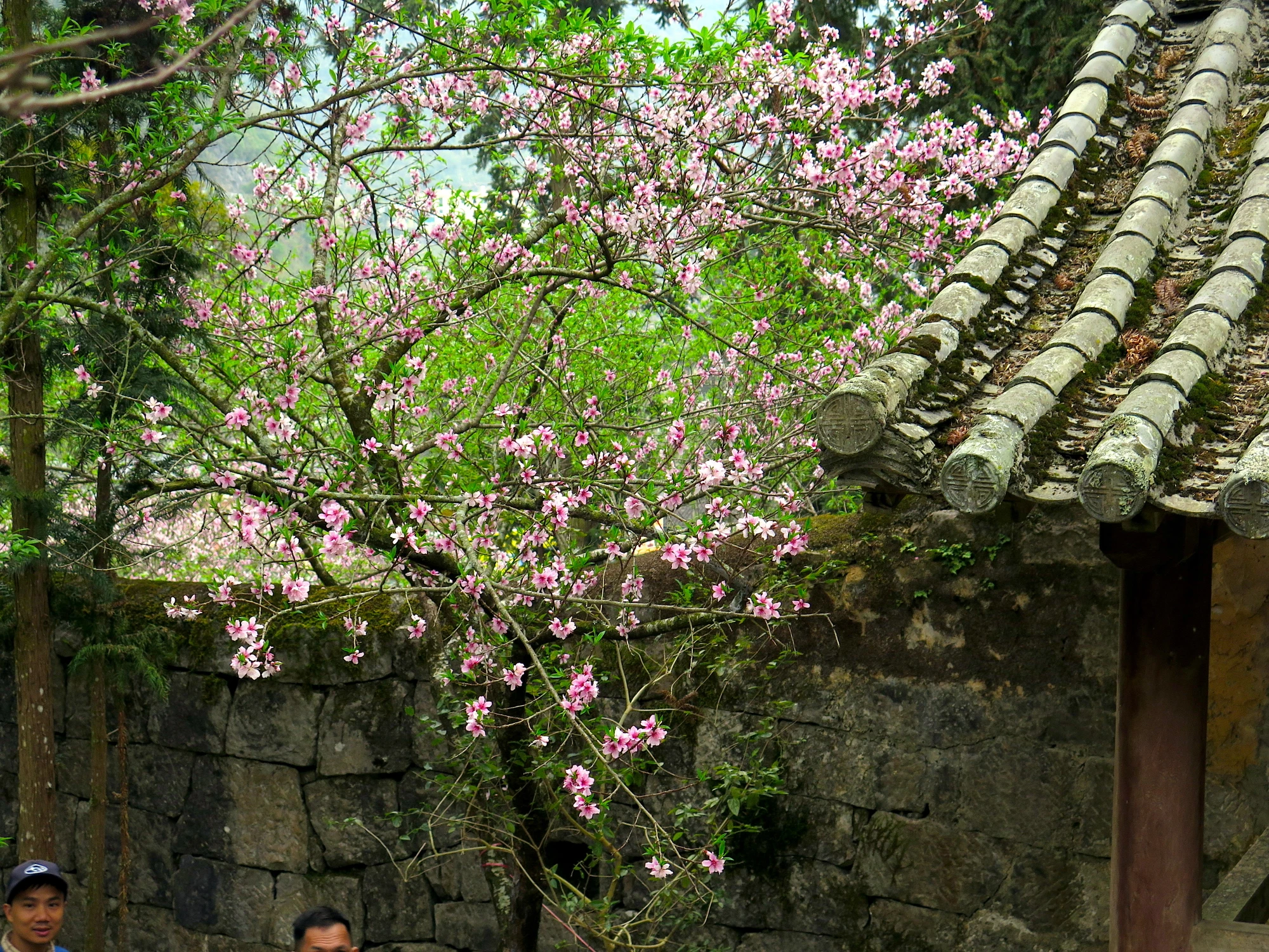 D56E5CFC-D9E0-4F33-864B-AD9543EFB169_1_201_a.jpeg