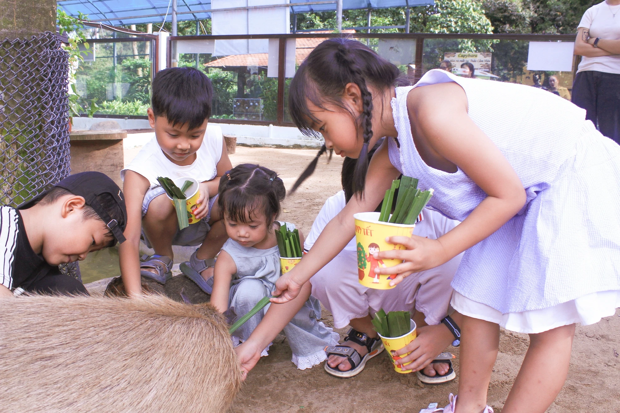 vườn thú thân thiện 3 (17).jpg