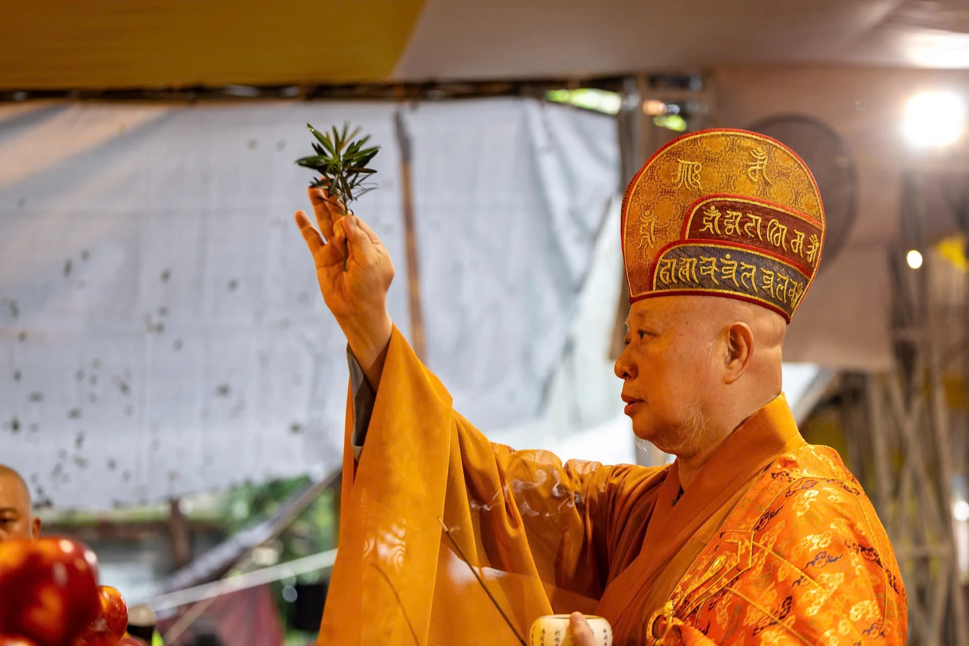 Lê Thị Riêng (12).jpg