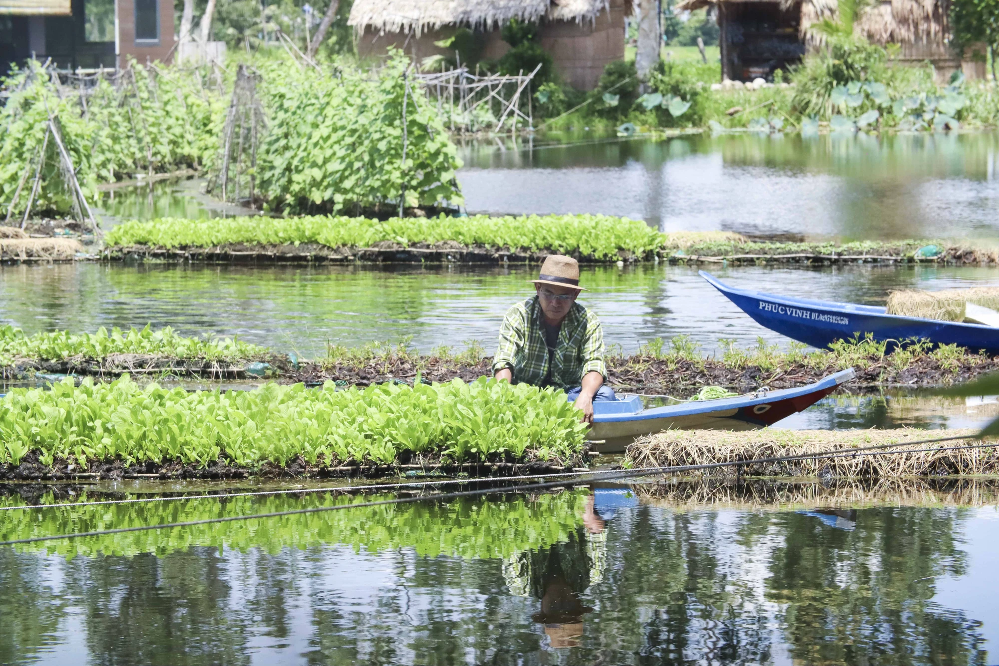 “Việc trồng trên bè nổi giúp cách ly được khoảng 80% các loại sâu, bệnh và côn trùng gây hại, bảo đảm chất lượng rau. Các sản phẩm cũng được bán tại địa phương và hệ thống siêu thị, cũng như theo đơn đặt hàng của khách hàng khi có nhu cầu” ông Đắc cho hay. “Việc trồng trên bè nổi giúp cách ly được khoảng 80% các loại sâu, bệnh và côn trùng gây hại, bảo đảm chất lượng rau. Các sản phẩm cũng được bán tại địa phương và hệ thống siêu thị, cũng như theo đơn đặt hàng của khách hàng khi có nhu cầu” ông Đắc cho hay.
