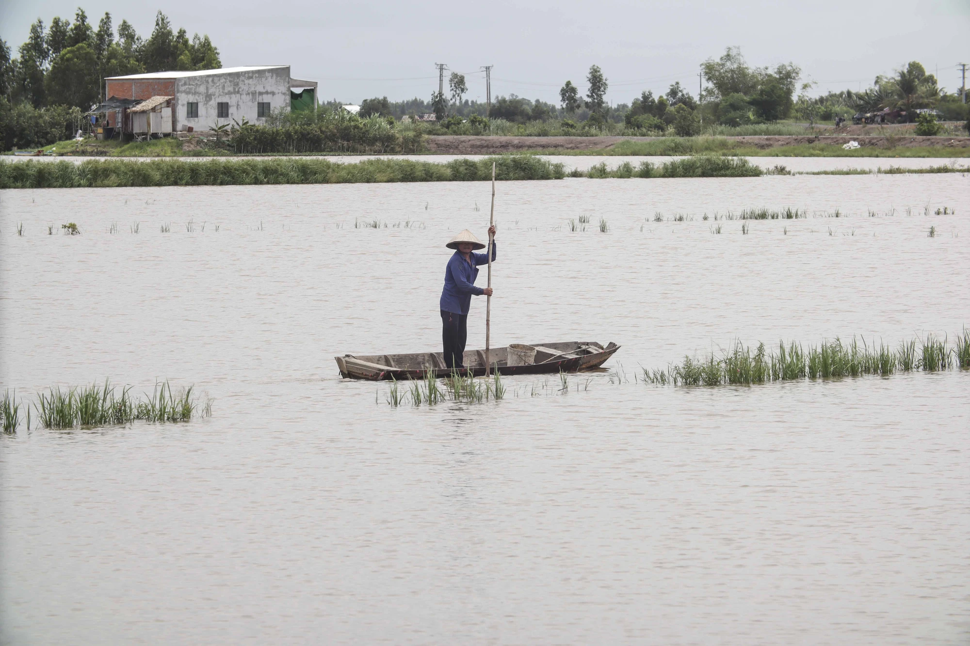 Những năm trước thời điểm này nước lũ đã tràn bờ ngập sâu. Những năm trước thời điểm này nước lũ đã tràn bờ ngập sâu.