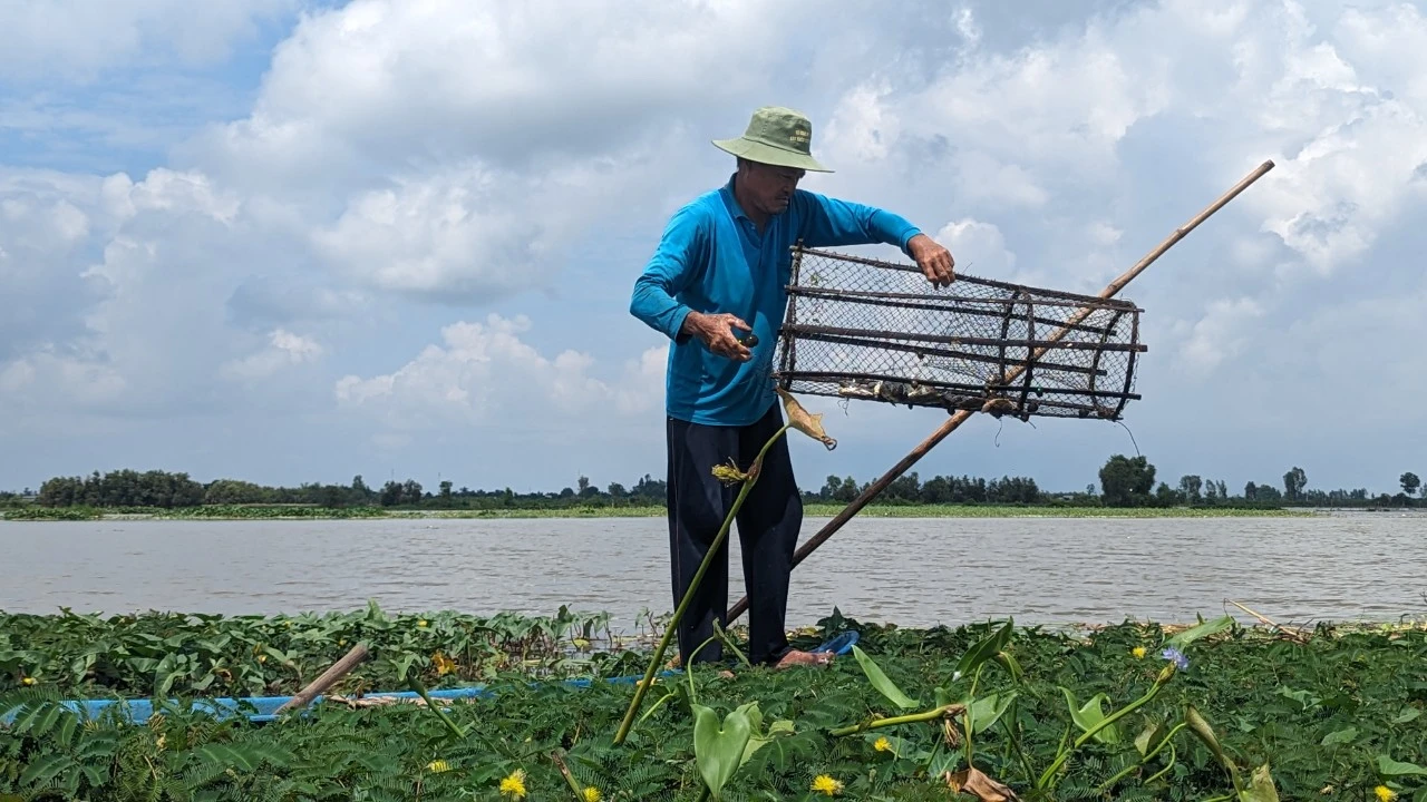 mưu sinh mùa lũ (14).jpg
