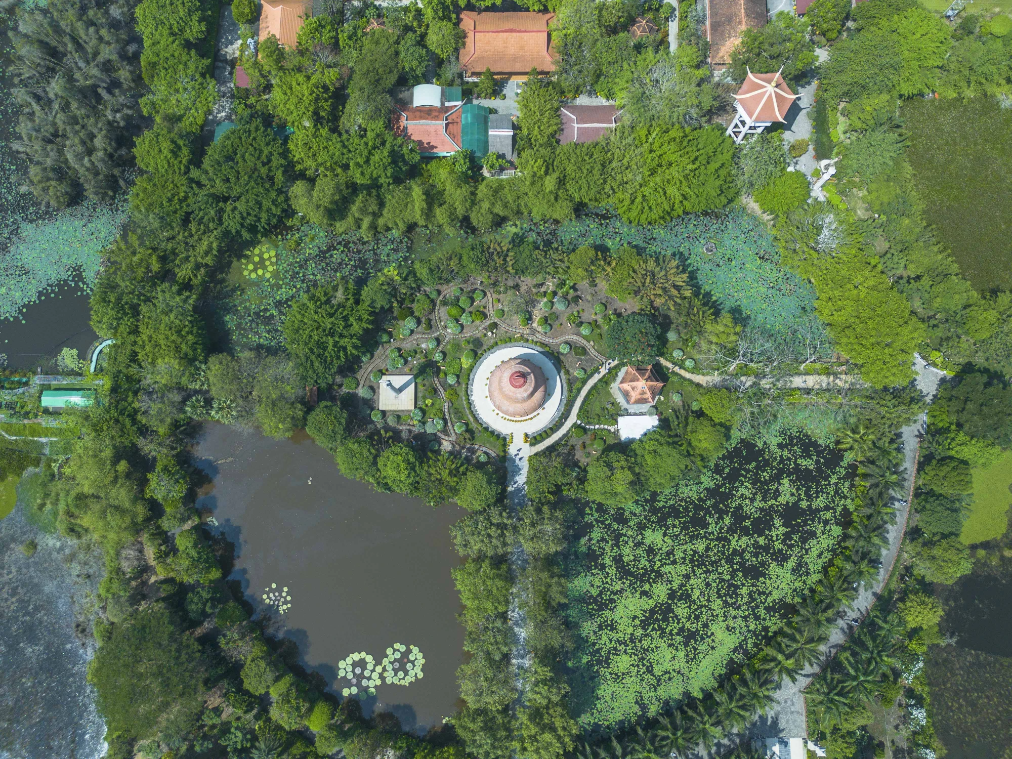 DJI_0229.JPG