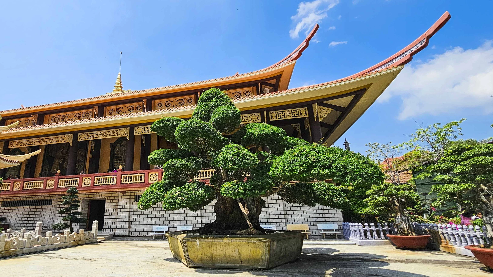Xin lộc đầu năm (2).JPG