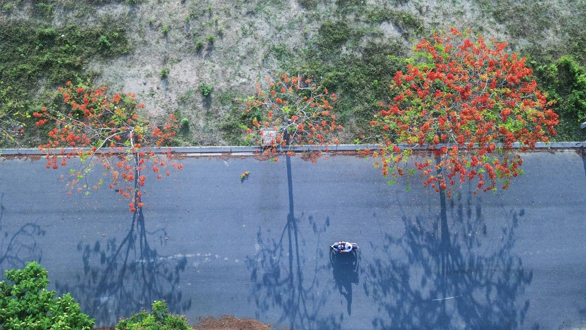 DJI_0685.JPG