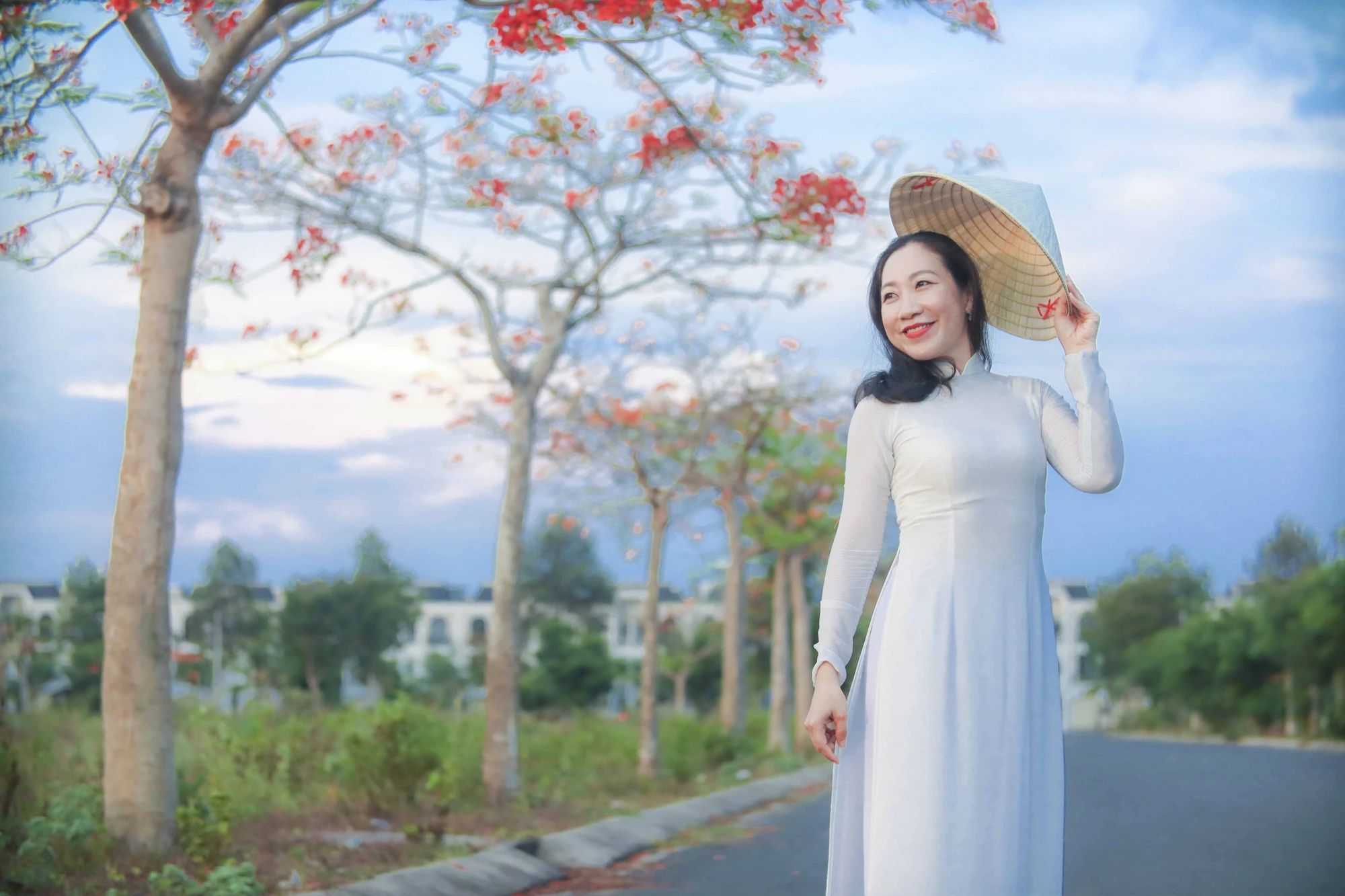hoa phượng (14).JPG