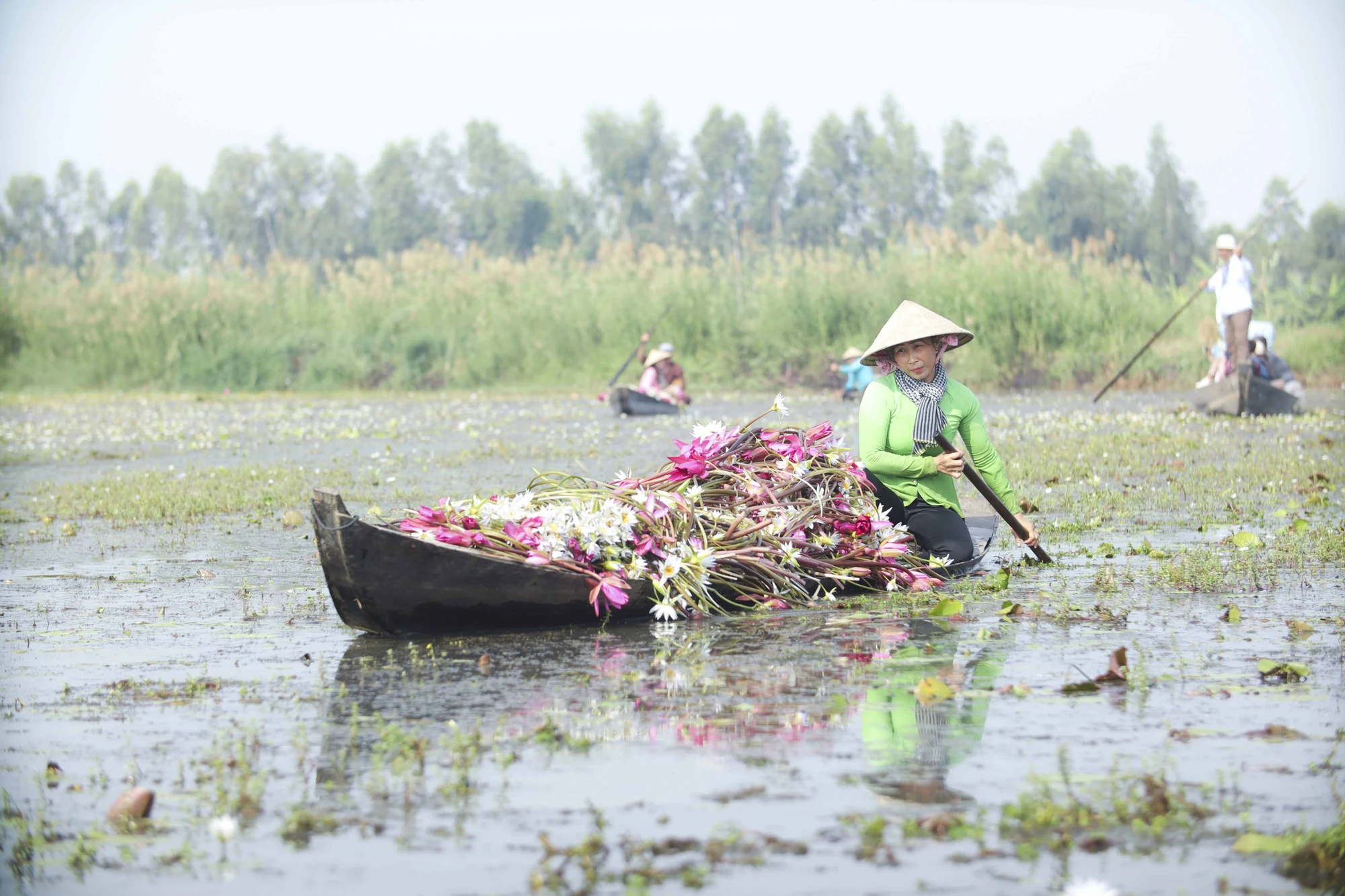 mùa nước nổi 21.JPG