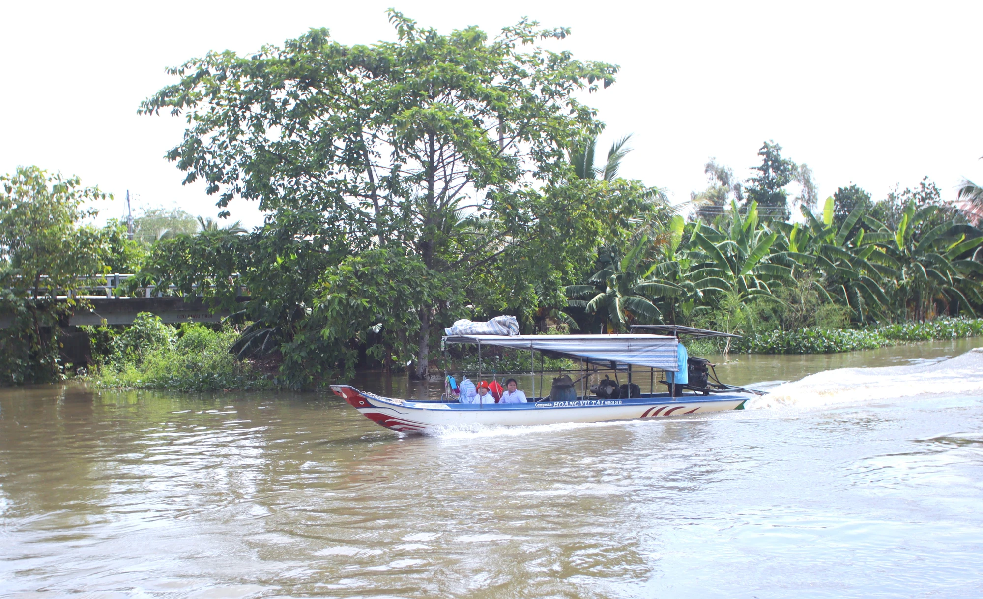 Đồng Tháp Mười 23.JPG