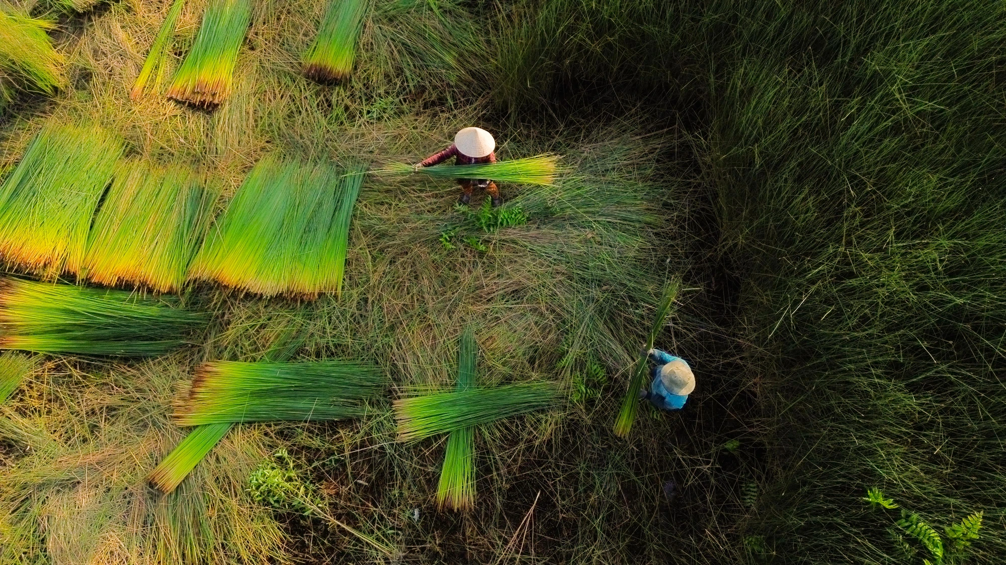 DJI_0897.JPG