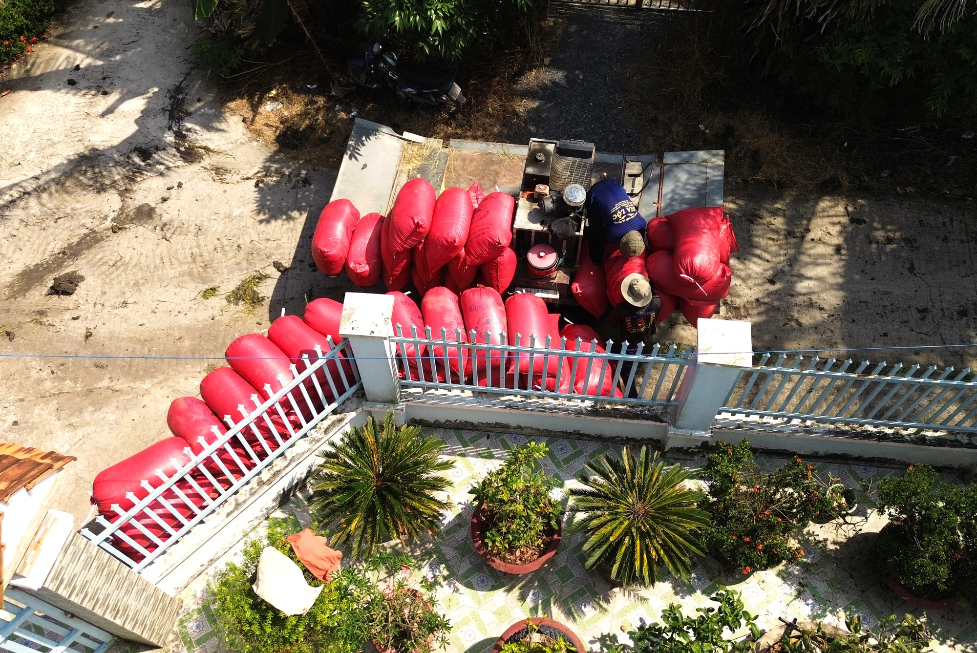 Trong niềm vui được mùa, được giá, nhiều hộ dân bày tỏ sự phấn khởi khi có thêm điều kiện trang trải cuộc sống, chuẩn bị đón Tết Dương lịch 2026 và hướng tới Tết Bính Ngọ với tâm thế nhẹ nhõm, kỳ vọng vào một năm sản xuất tiếp theo thuận lợi hơn. thu hoạch lúa 12.JPG