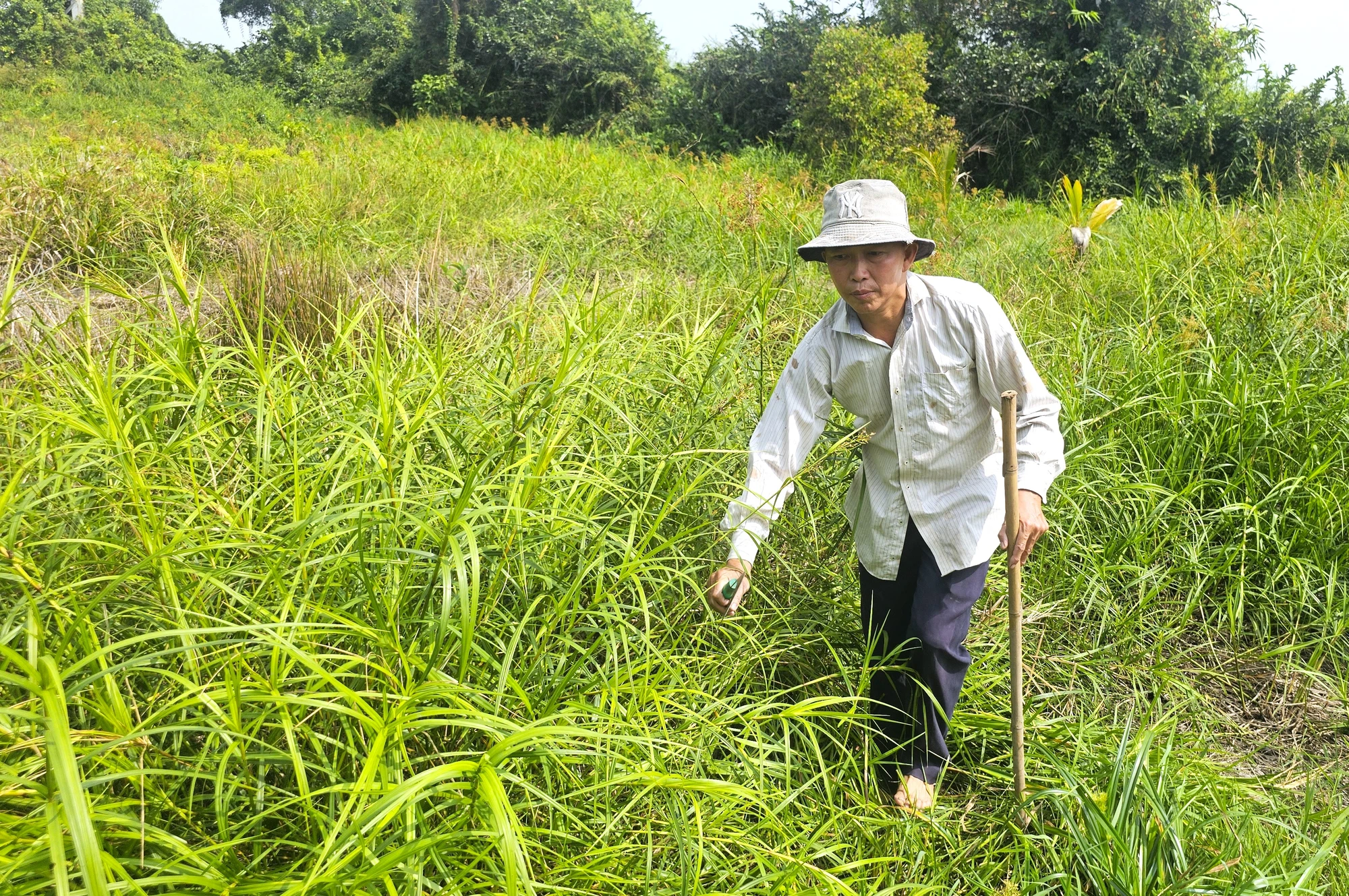 CAO TOC TPHCM - TRUNG LUONG 2.jpg