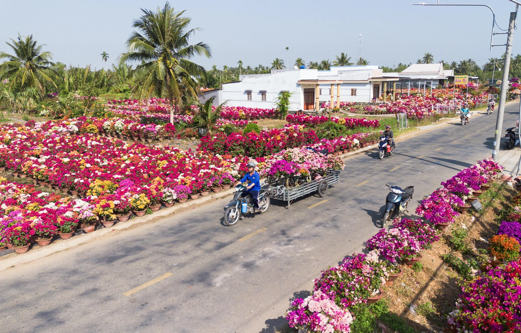 Chợ Lách 11.jpg