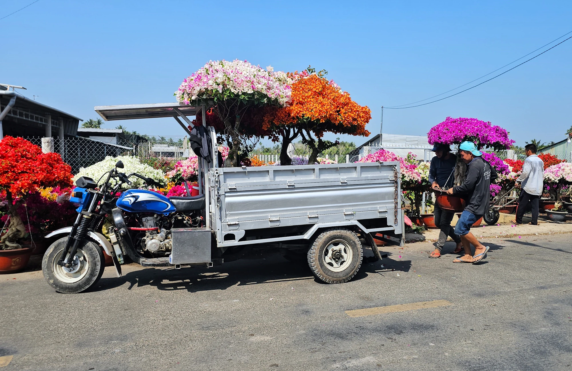 Chợ Lách 16.jpg