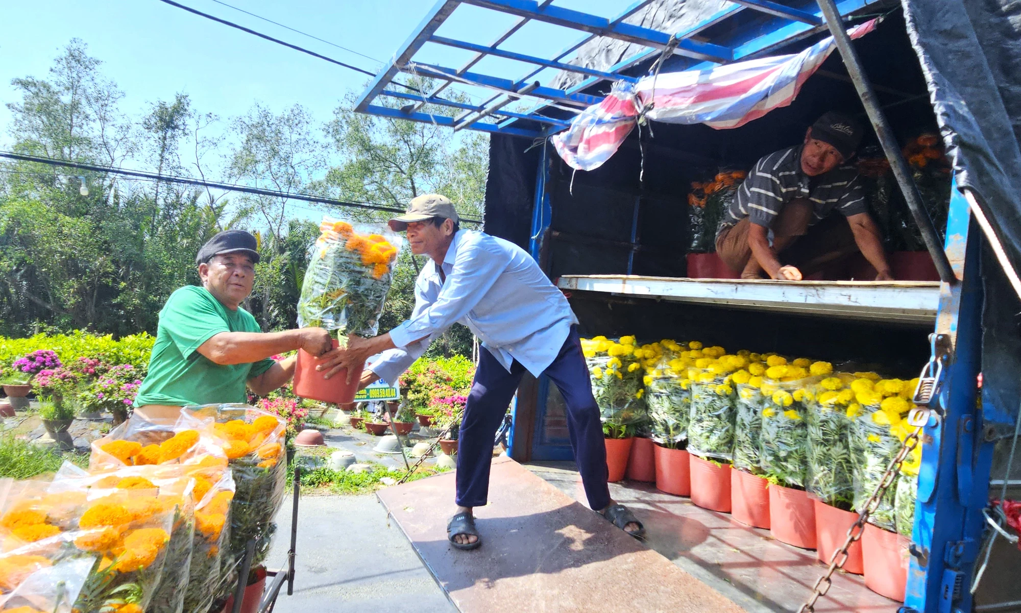 Chợ Lách 18.jpg