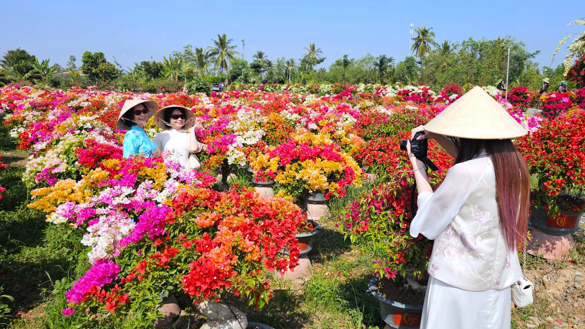 làng hoa giấy 19.jpg