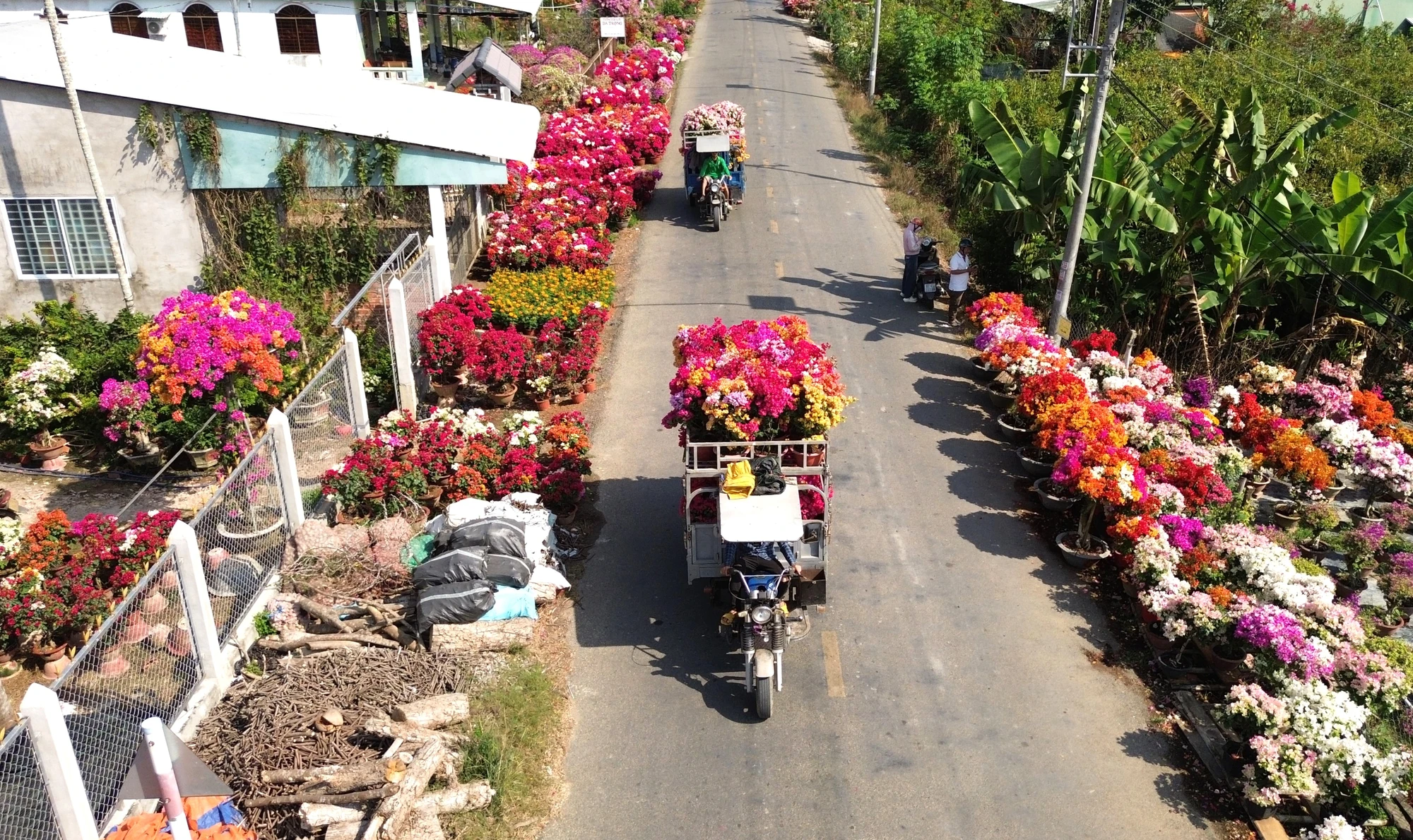 làng hoa giấy 9.JPG