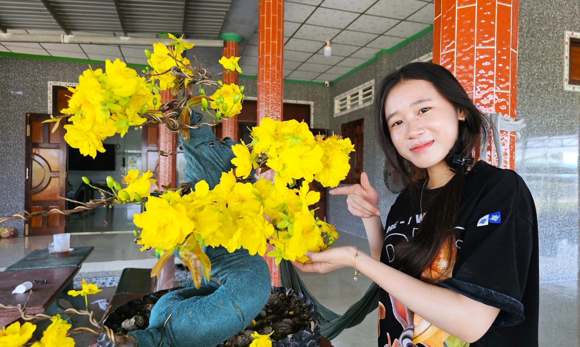 mai vàng 19.jpg