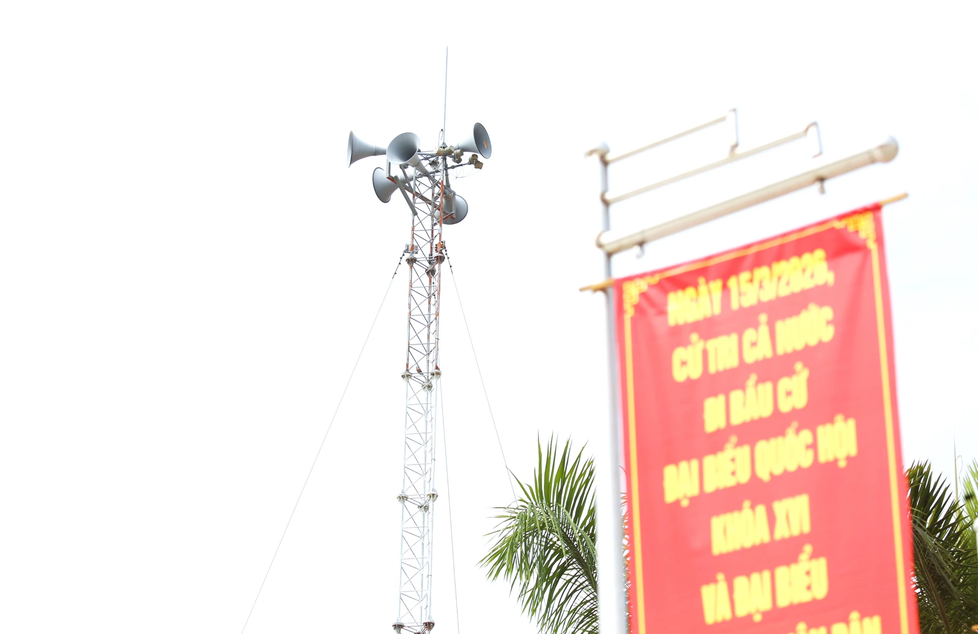 bầu cử 7.JPG