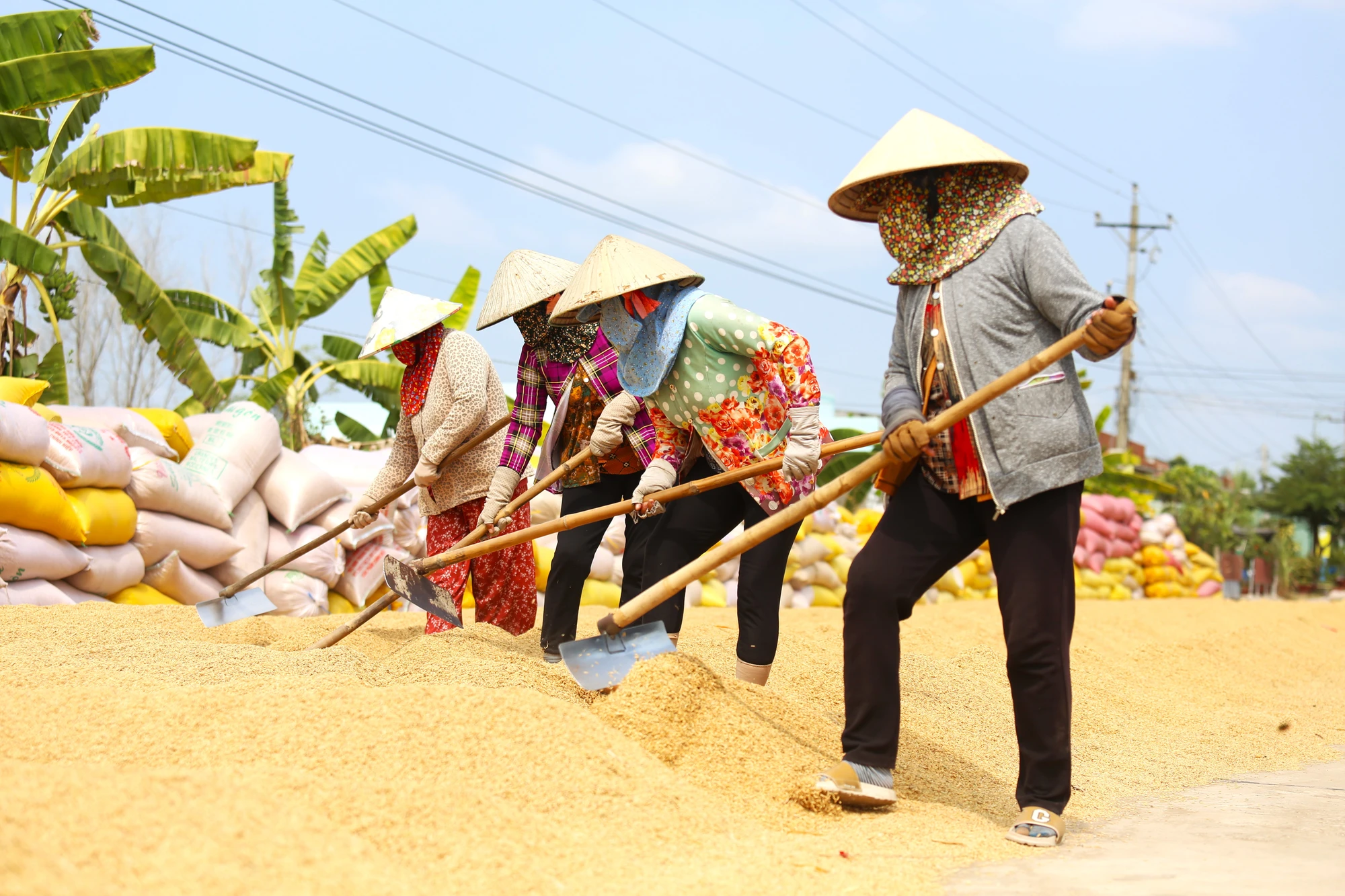 mưu sinh 1.JPG