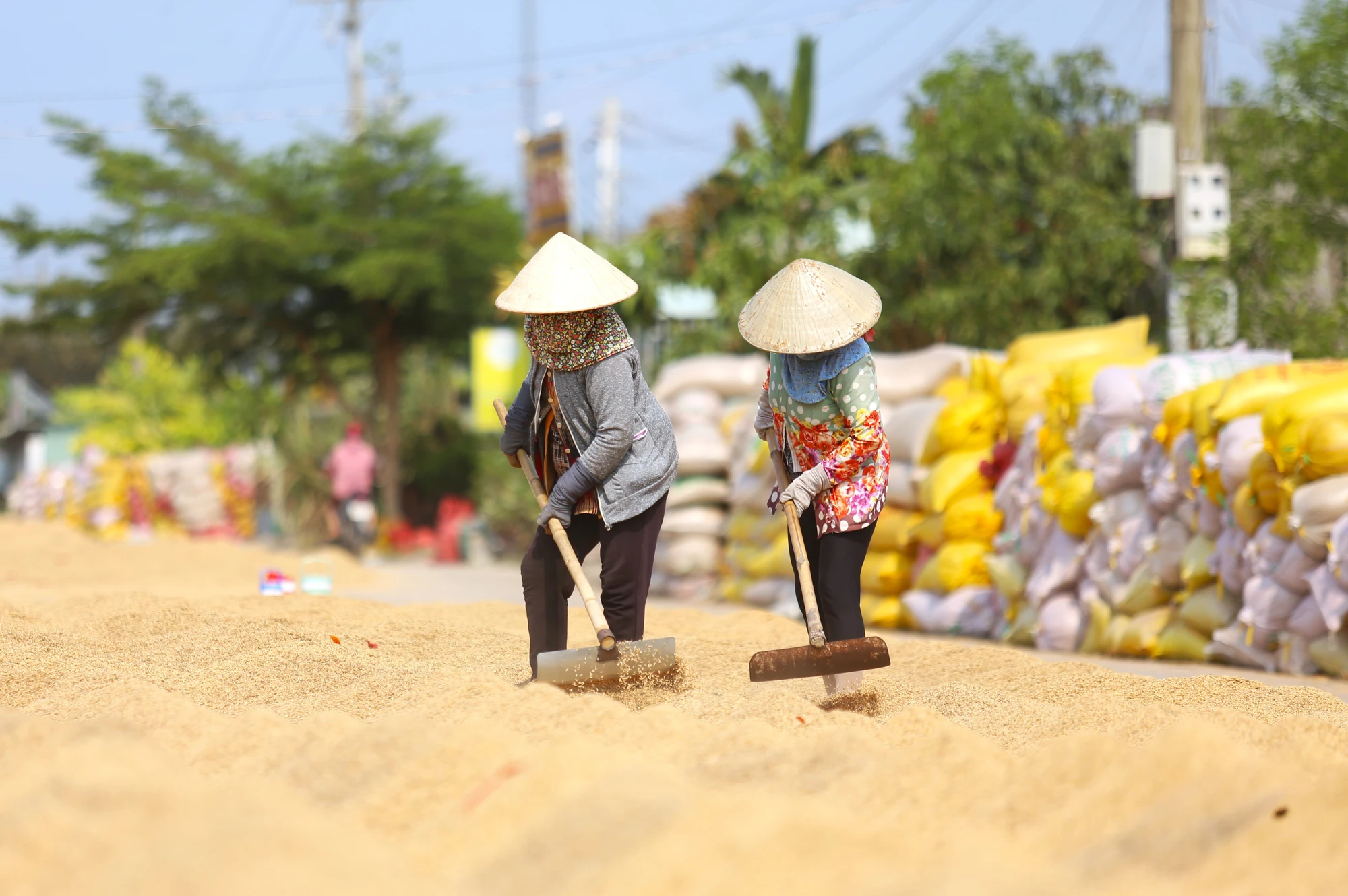 mưu sinh 10.JPG
