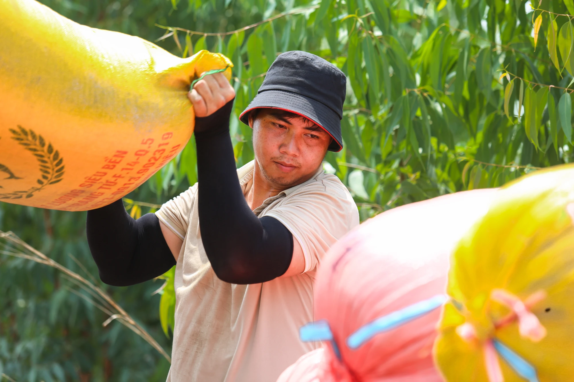 mưu sinh 12.jpg