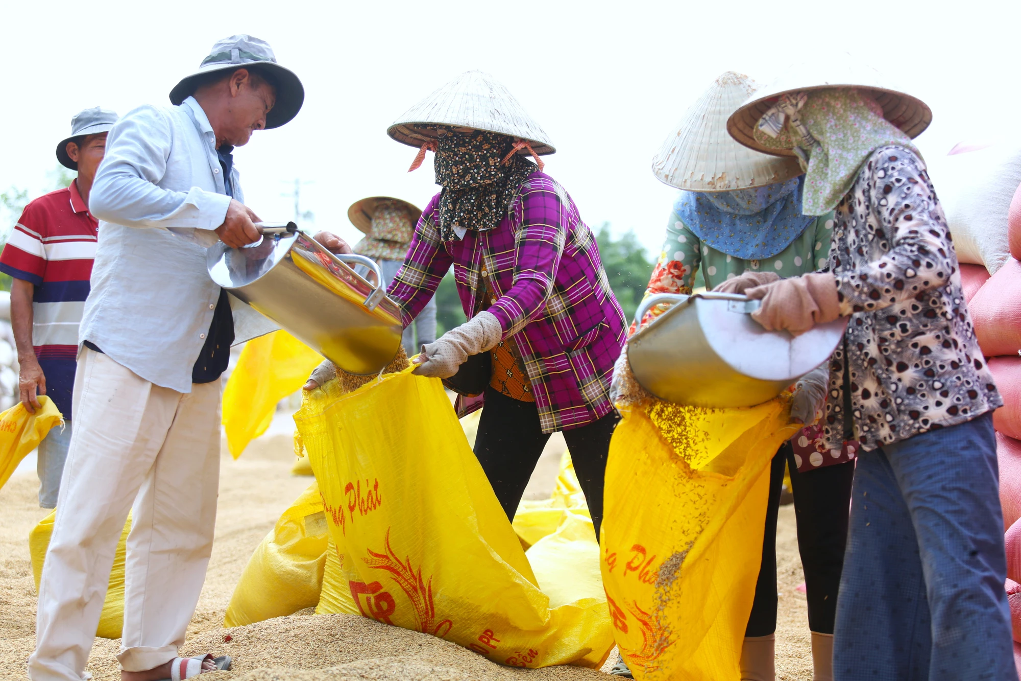 mưu sinh 5.JPG