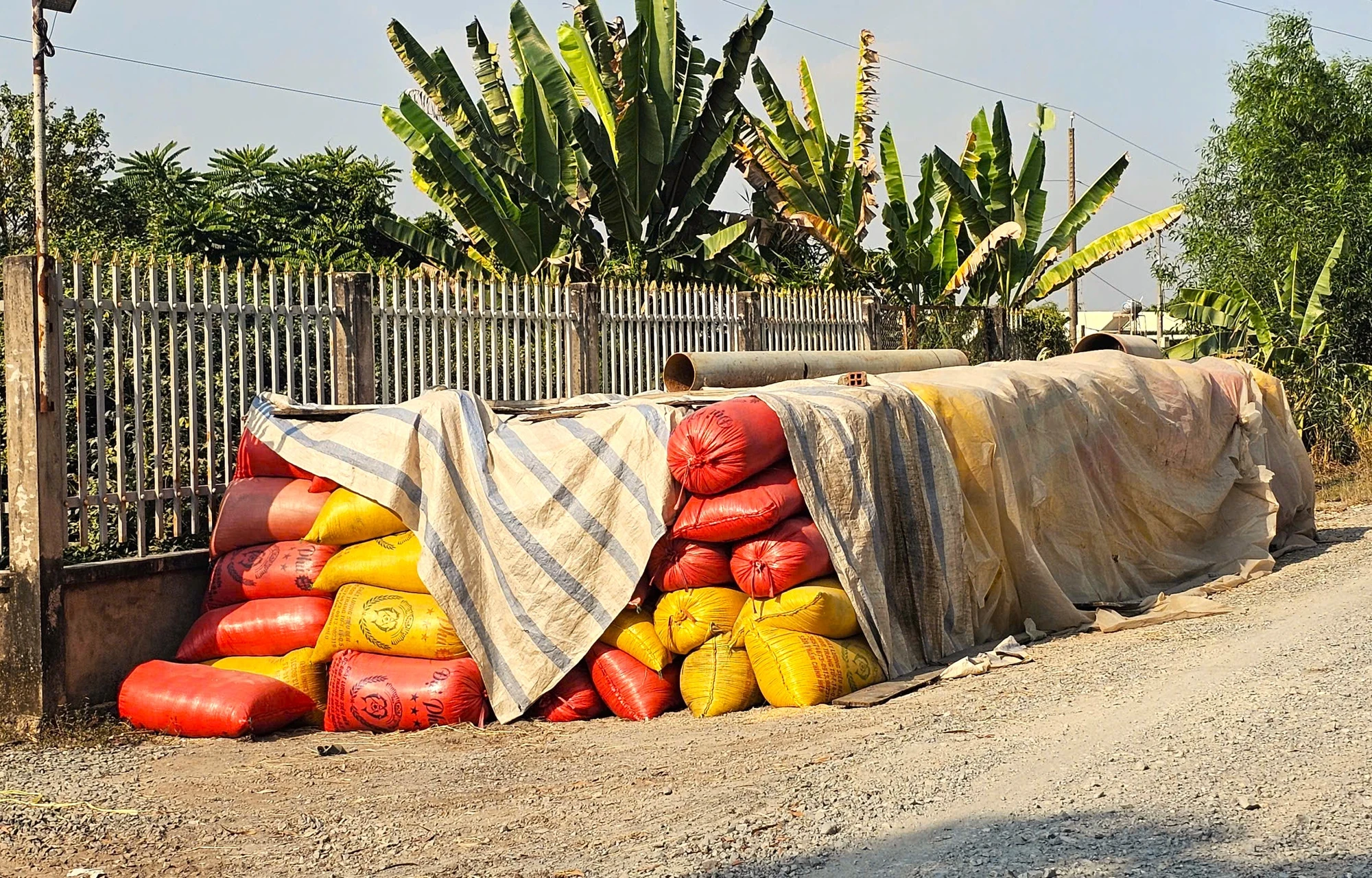 nông dân 12.jpg