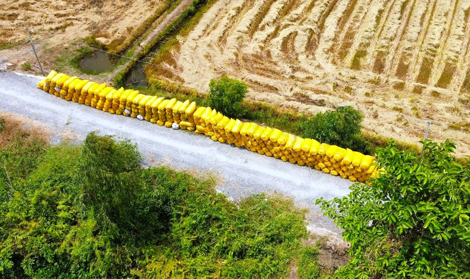 nông dân 9.jpg