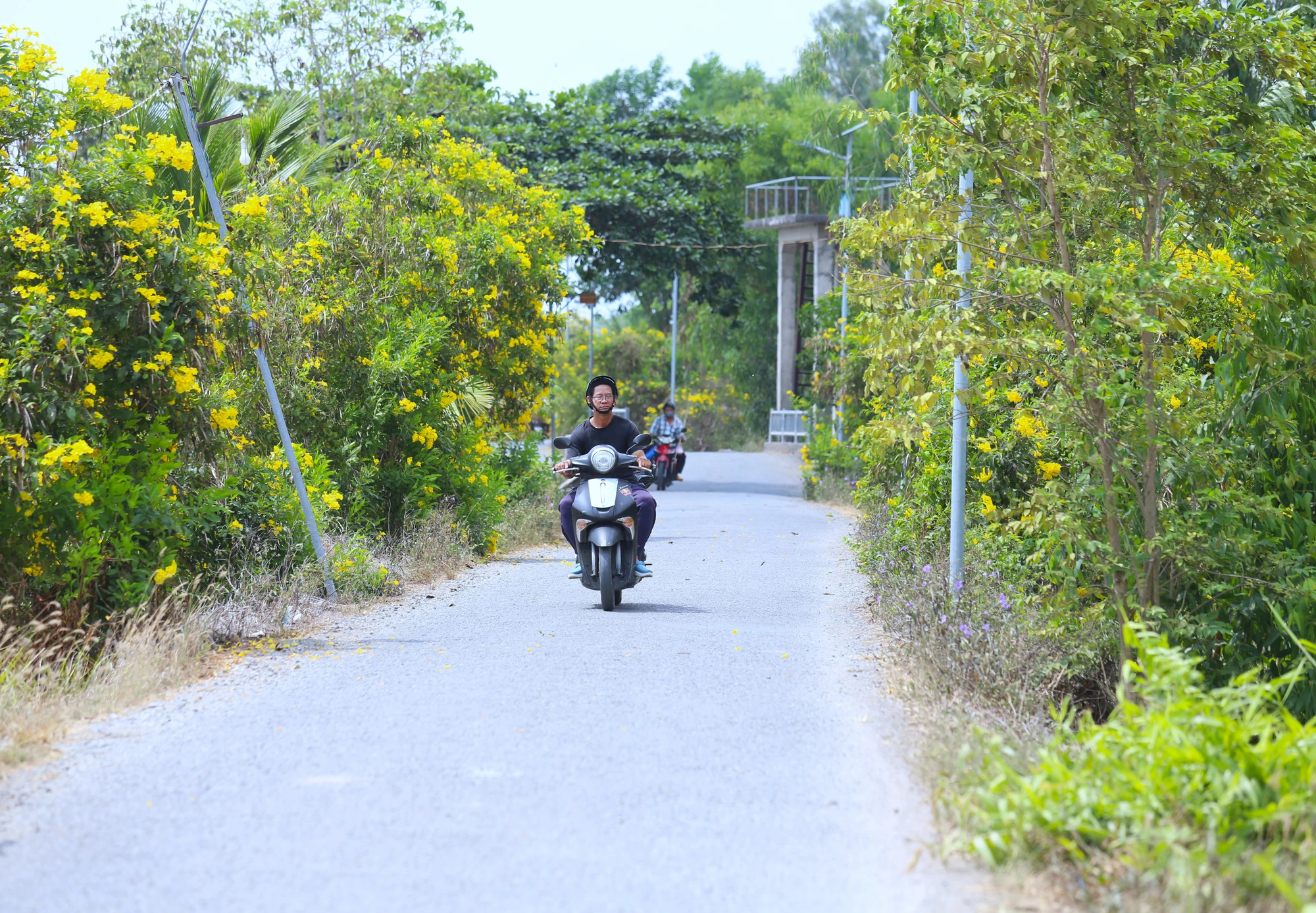 Vùng đất phèn Tân Phước 23.JPG