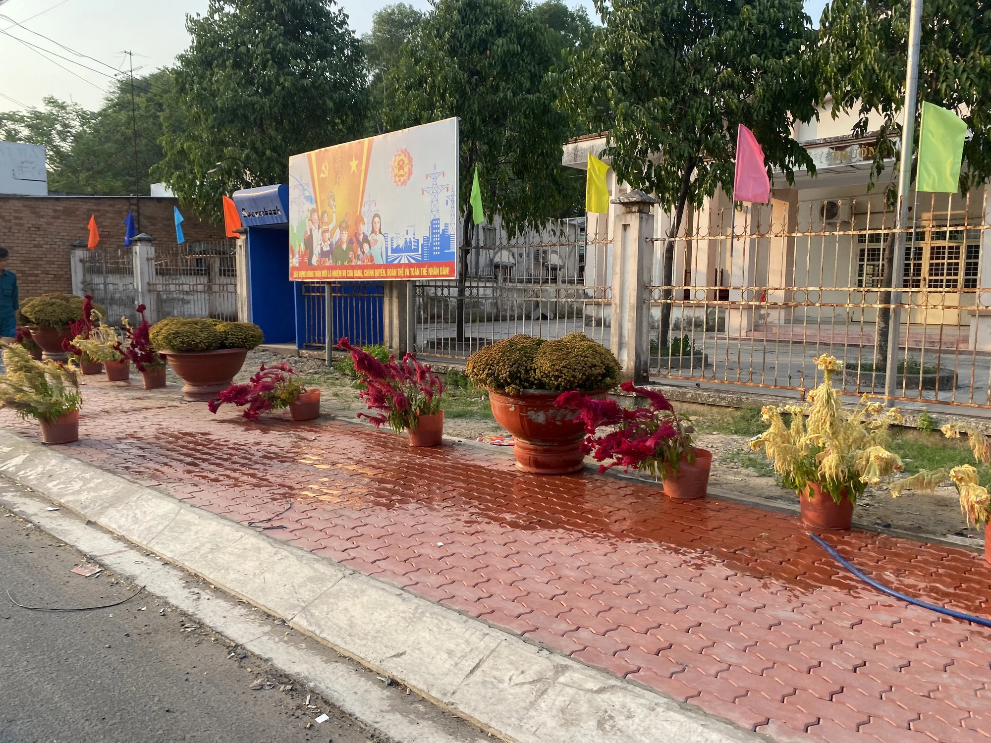 tinh-lo-890.jpg
