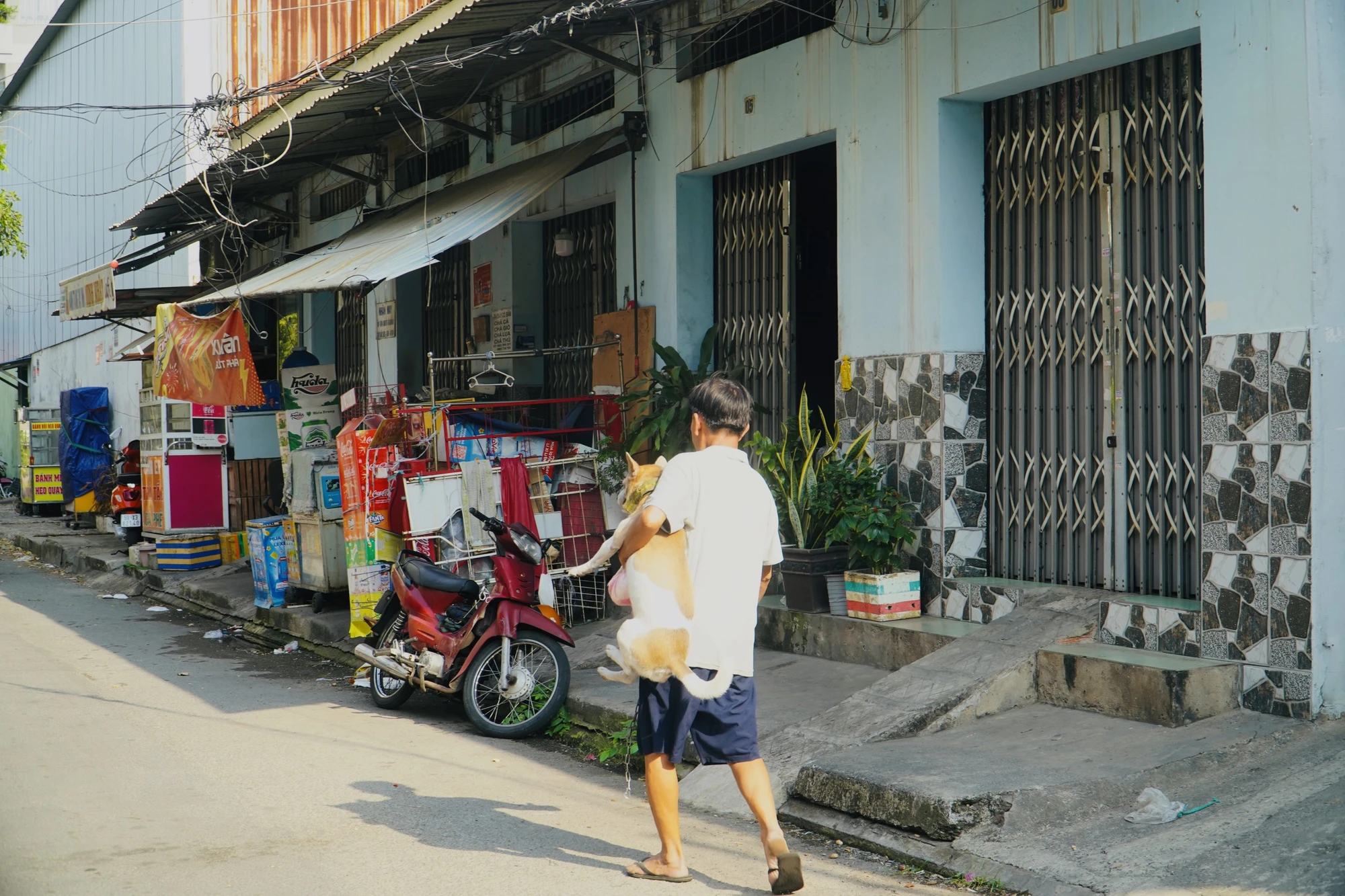 Một người đàn ông để chó không rọ mõm chạy ra đường, khi thấy đội bắt chó đang tiến đến mới nhanh chóng bế con chó của mình đi vào nhà. Ảnh: HUỲNH THƠ Một người đàn ông để chó không rọ mõm chạy ra đường, khi thấy đội bắt chó đang tiến đến mới nhanh chóng bế con chó của mình đi vào nhà. Ảnh: HUỲNH THƠ