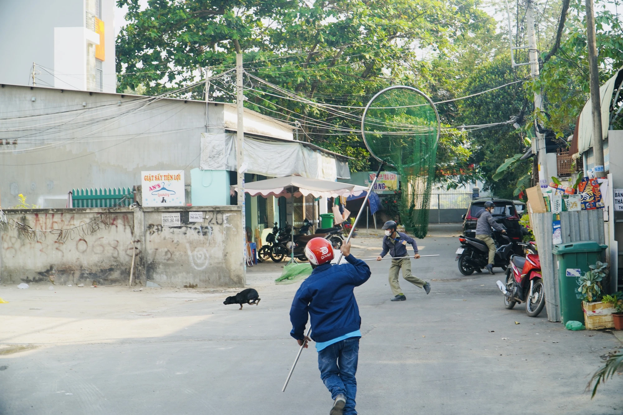 Đa số người dân đều ủng hộ và mong muốn phường duy trì công tác này, vì như vậy sẽ hạn chế việc chó thả rông cắn người, phóng uế bừa bãi,... Ảnh: HUỲNH THƠ Đa số người dân đều ủng hộ và mong muốn phường duy trì công tác này, vì như vậy sẽ hạn chế việc chó thả rông cắn người, phóng uế bừa bãi,... Ảnh: HUỲNH THƠ