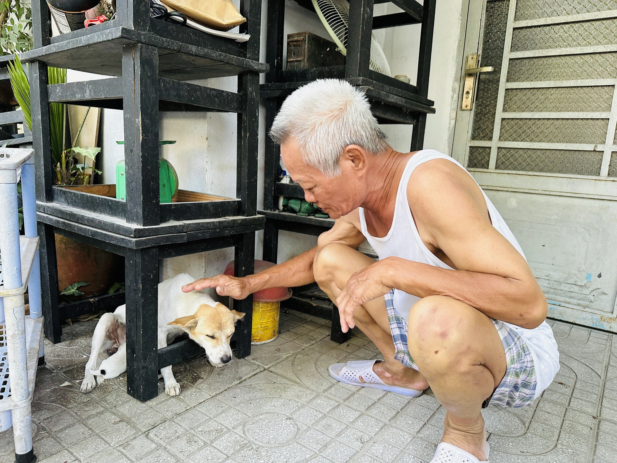 Ông Nguyễn Đình Tất, người dân sống tại phường Hiệp Bình Chánh, TP Thủ Đức, cho biết: "Tôi rất ủng hộ đội bắt chó thả rông của phường, để người ta mới thấy được thực tế, không dám để chó đi lung tung gây ảnh hưởng đến người khác". Ảnh: HUỲNH THƠ Ông Nguyễn Đình Tất, người dân sống tại phường Hiệp Bình Chánh, TP Thủ Đức, cho biết: "Tôi rất ủng hộ đội bắt chó thả rông của phường, để người ta mới thấy được thực tế, không dám để chó đi lung tung gây ảnh hưởng đến người khác". Ảnh: HUỲNH THƠ