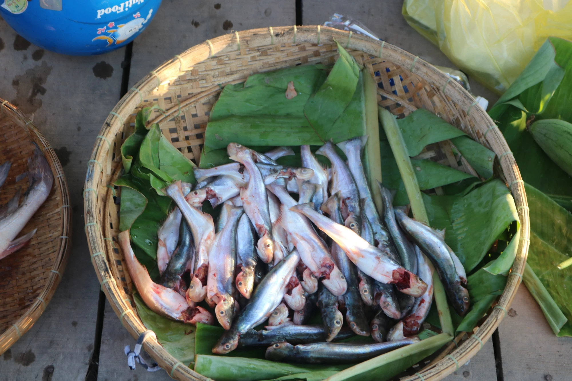 ca-duoc-bay-ban-tai-cho.jpg